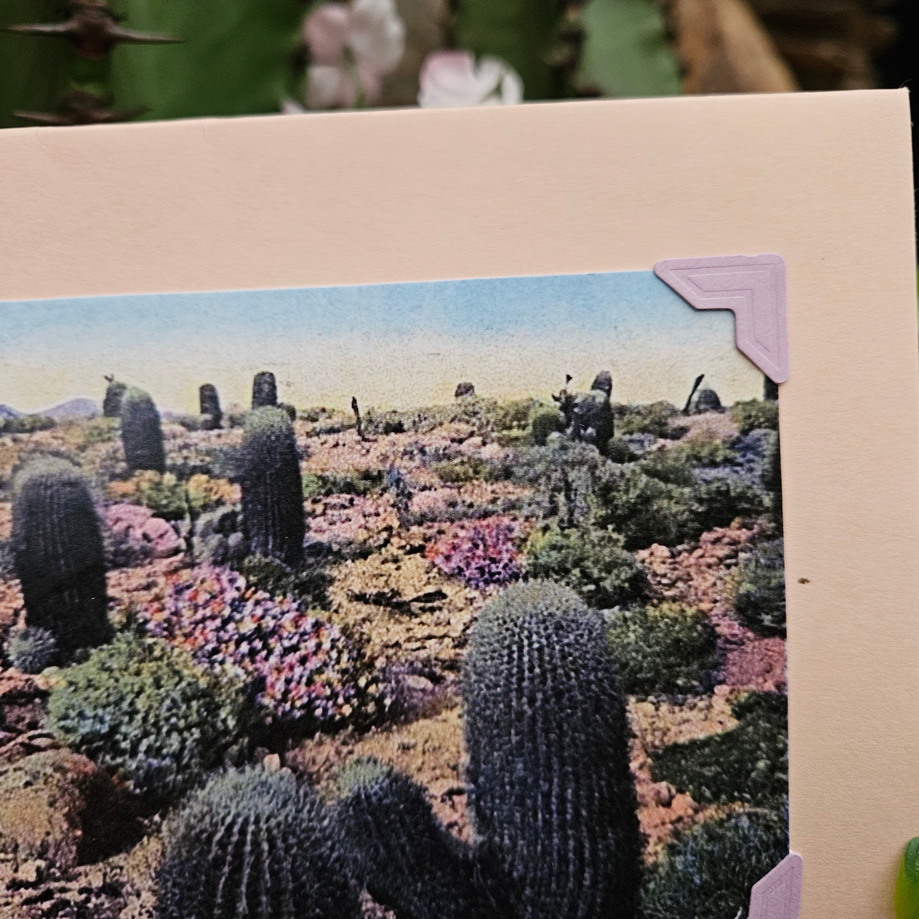 Beautifully Hand Crafted Custom Created Greeting Card Series by Diane Stegman "The Devil's Garden"
