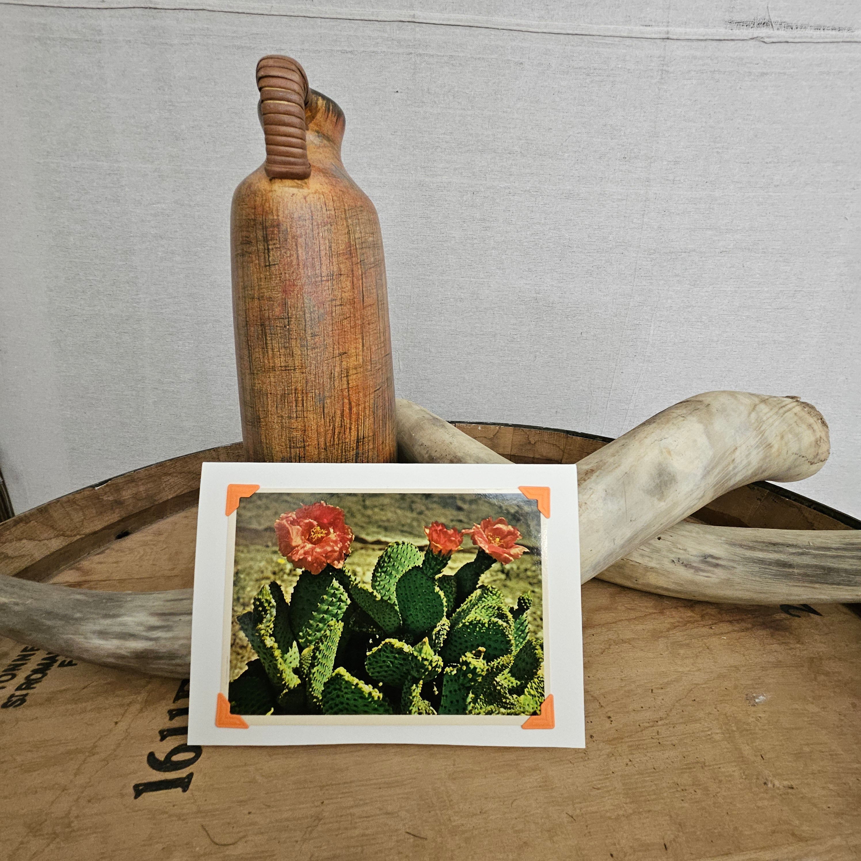 Beautifully Hand Crafted Custom Created Greeting Card Series by Diane Stegman "Beavertail Cactus in Bloom"
