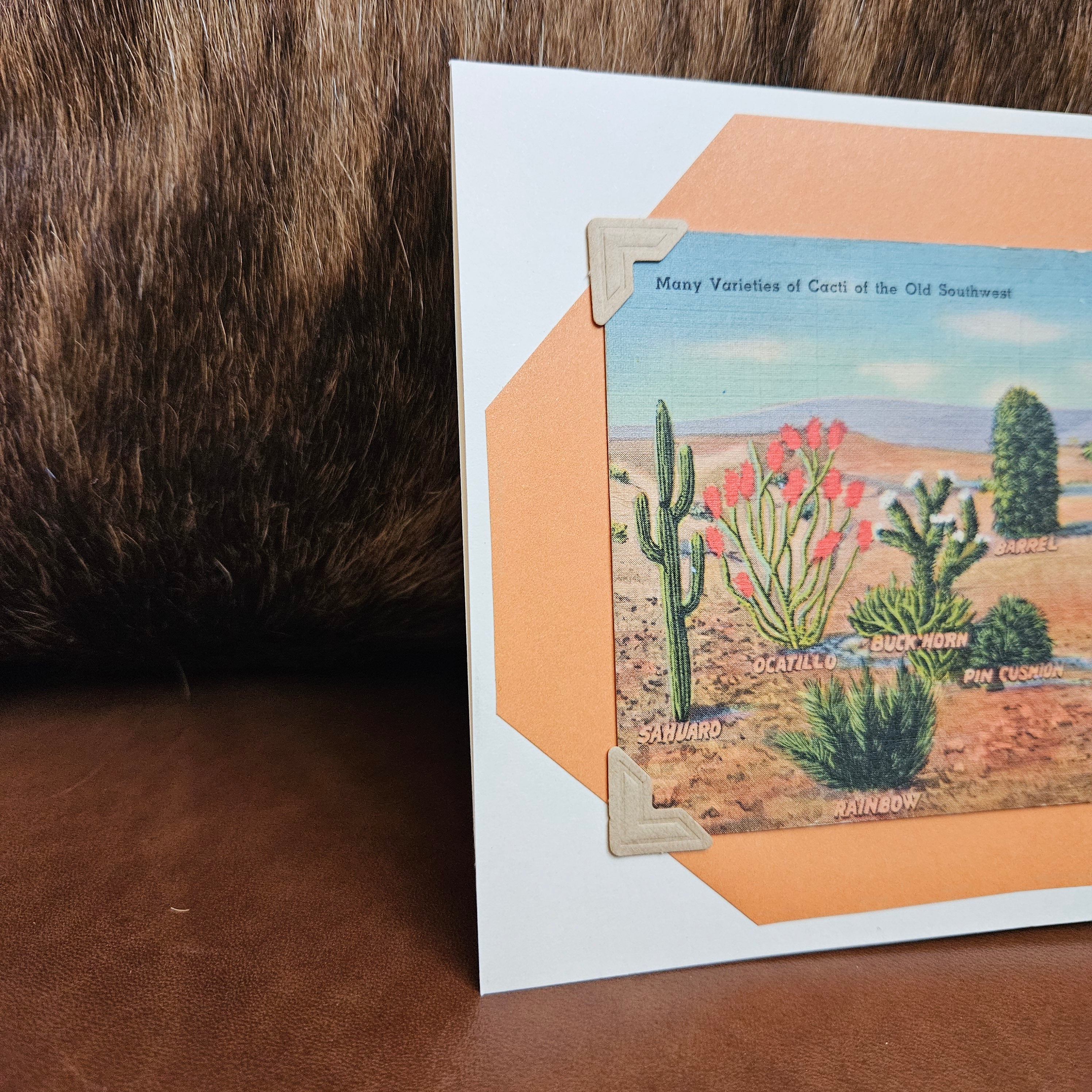 Beautifully Hand Crafted Custom Created Greeting Card Series by Diane Stegman "Cacti of the Old Southwest"