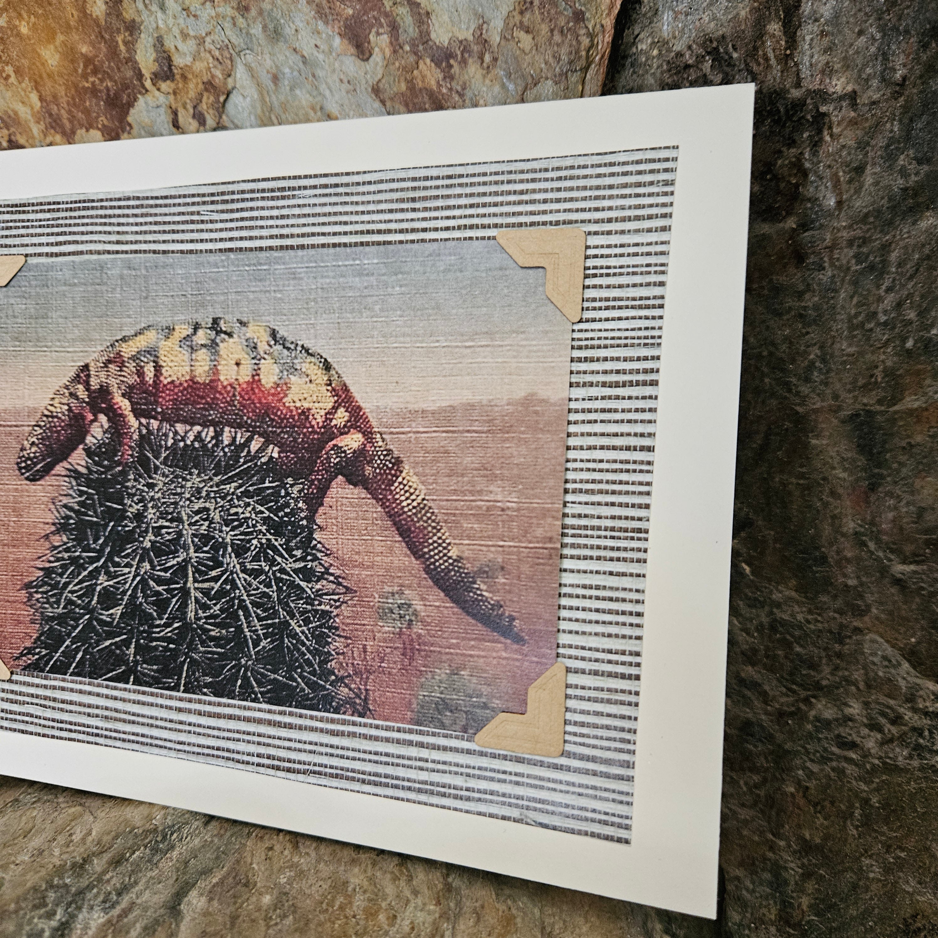 Beautifully Hand Crafted Custom Created Greeting Card Series by Diane Stegman "Gila Monster Lizard on Prickly Cactus"