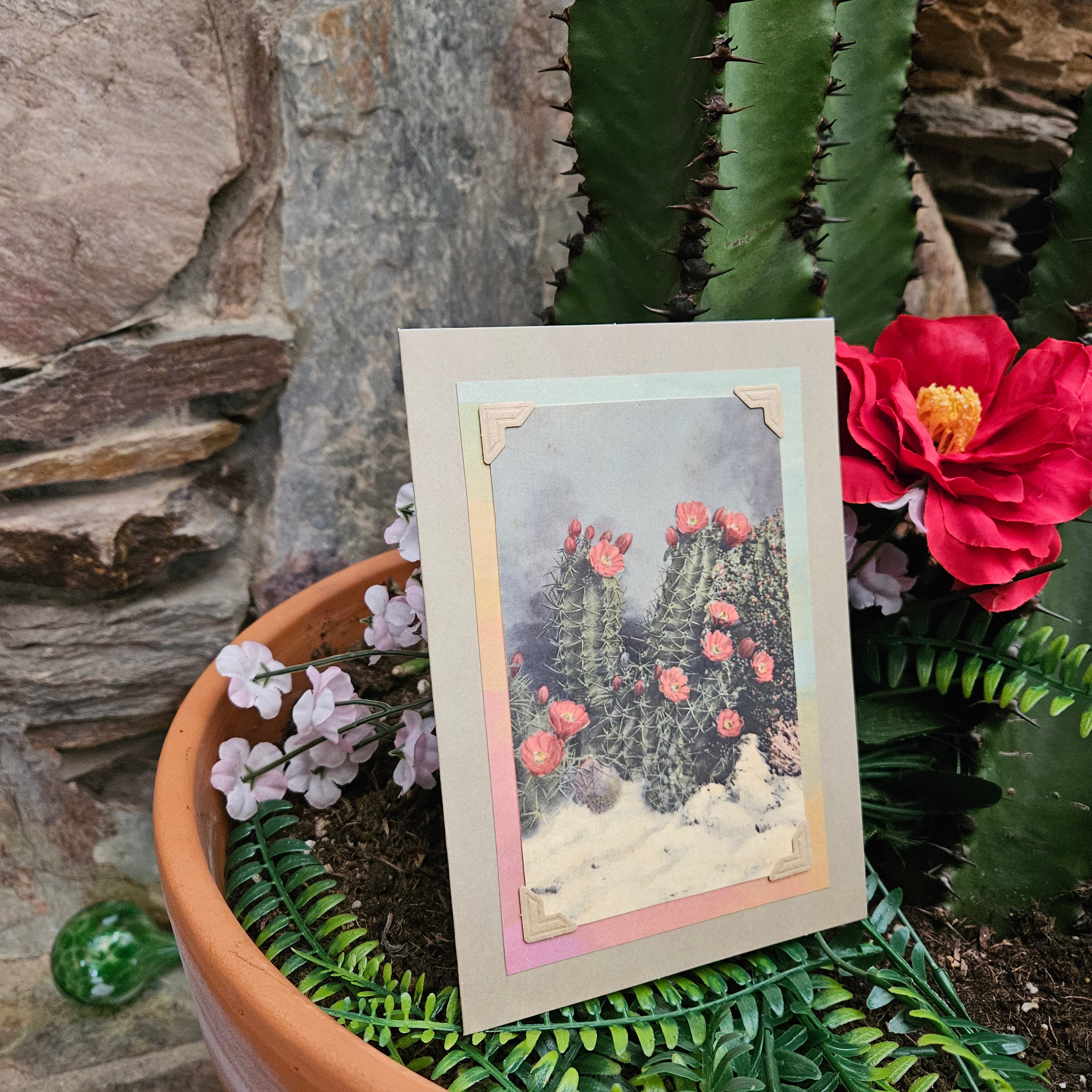 Beautifully Hand Crafted Custom Created Greeting Card Series by Diane Stegman "Flowering White Sands Cactus"
