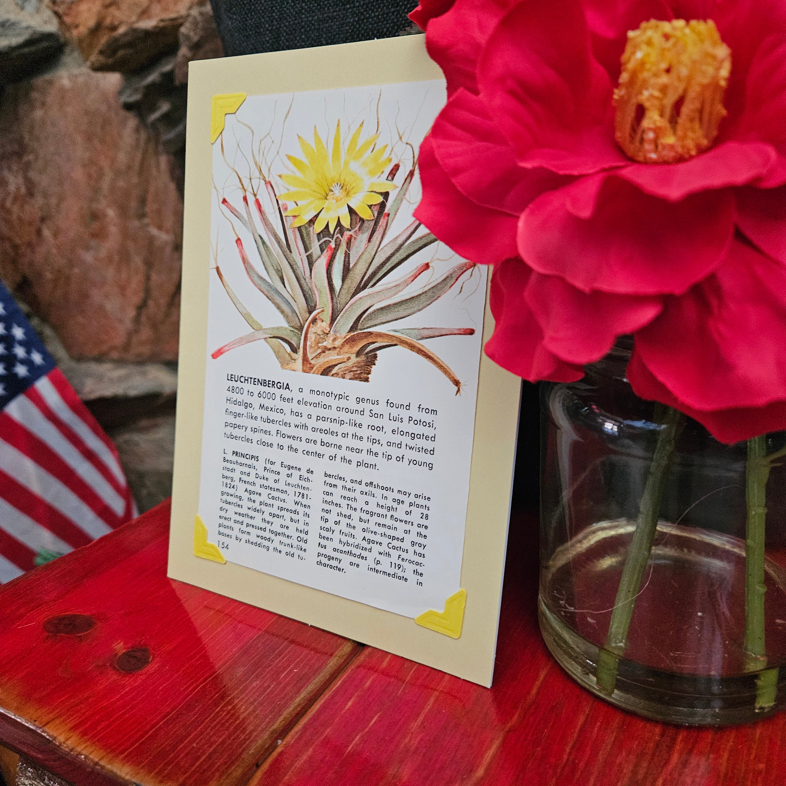 Beautifully Hand Crafted Custom Created Greeting Card Series by Diane Stegman "Flowering Aloe"