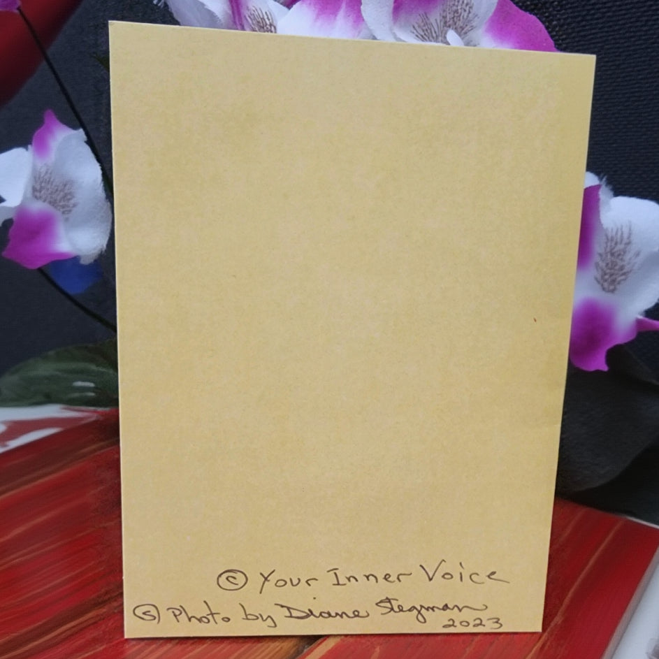 Beautifully Hand Crafted Custom Created Greeting Card Series by Diane Stegman "Heart Shaped Cactus"