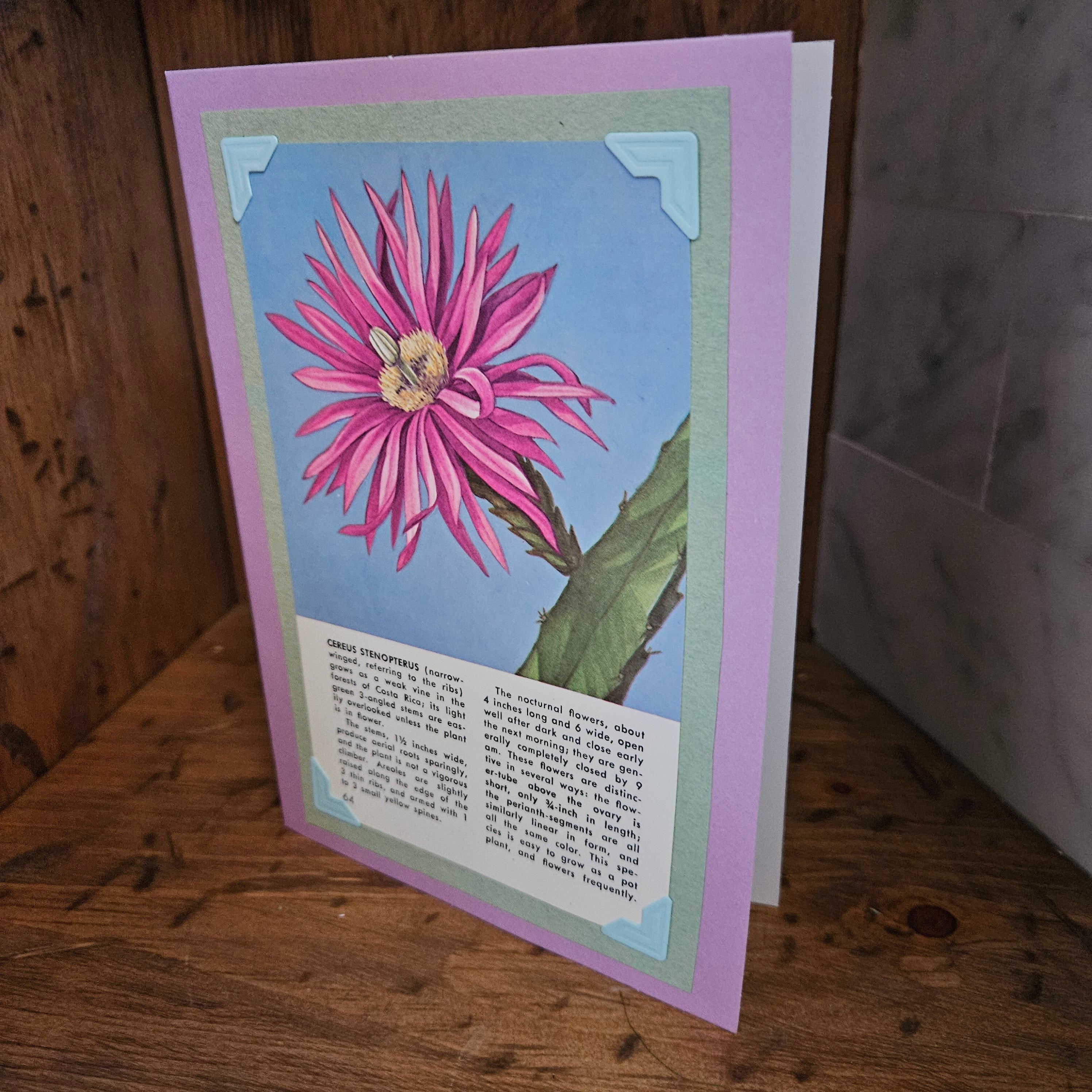 Beautifully Hand Crafted Custom Created Greeting Card Series by Diane Stegman "Cereus Stenopterus"