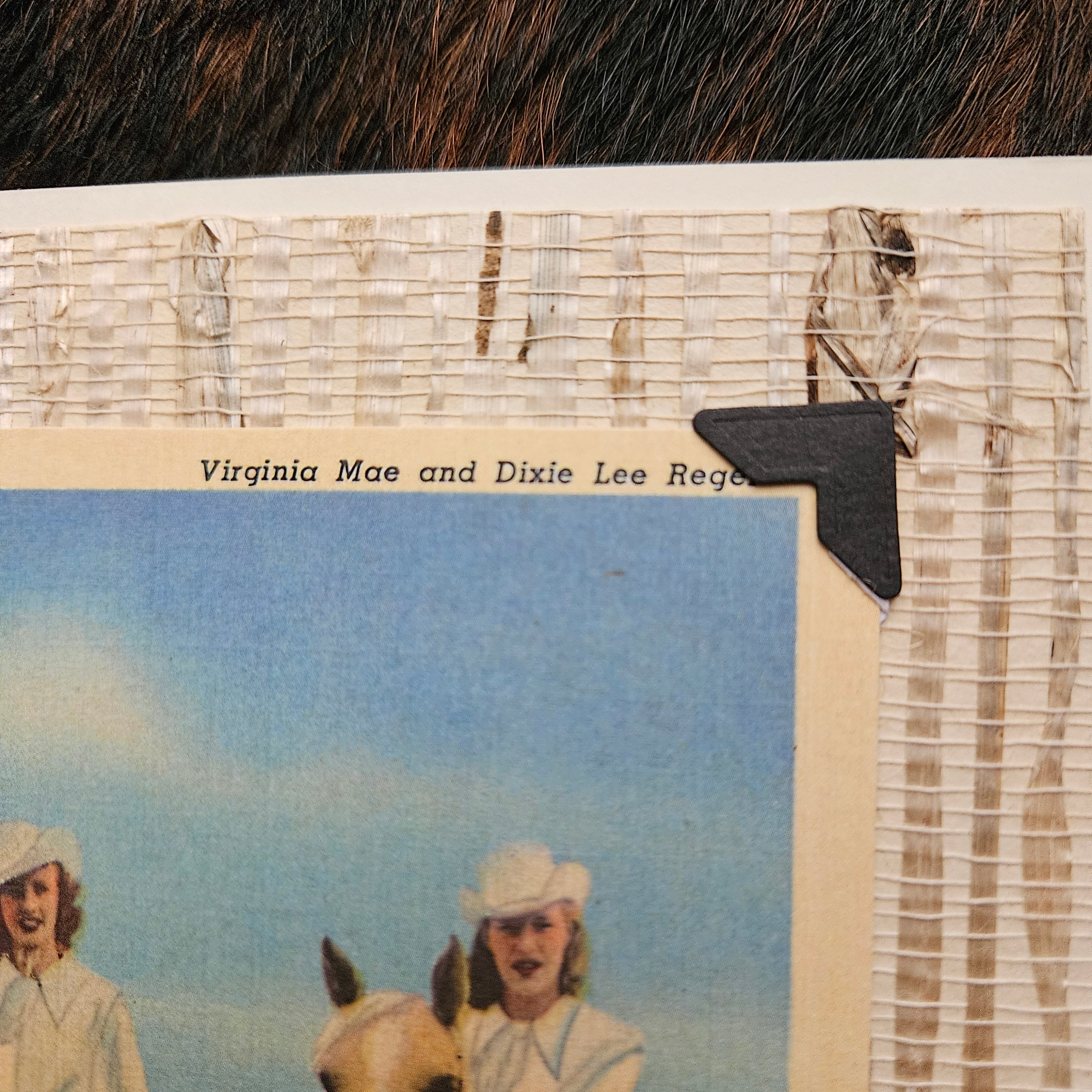 Beautifully Hand Crafted Custom Created Greeting Card Series by Diane Stegman "Virginia Lee"