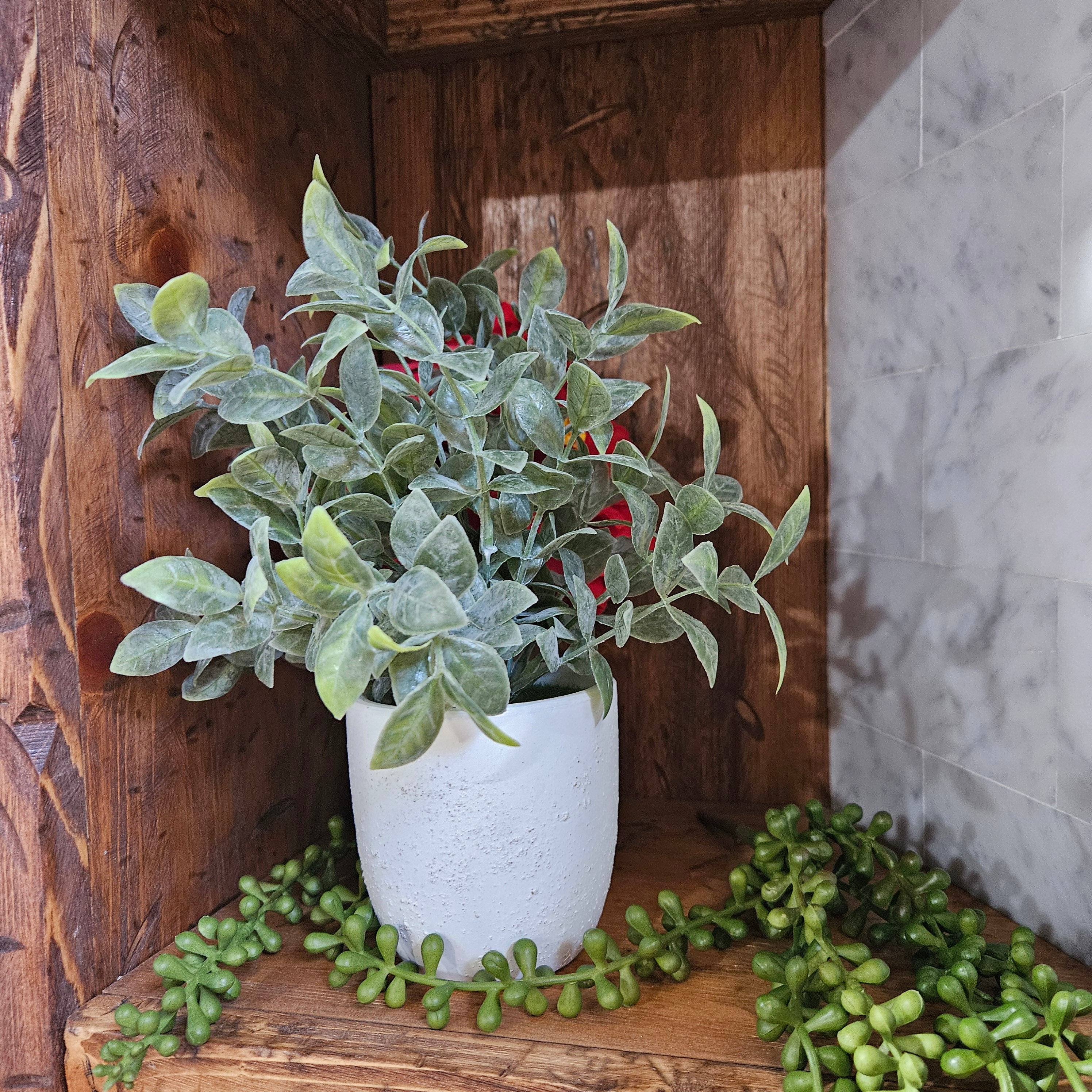 Faux Powdered Tea Leaf Plant in a White Washed Terracotta Pot
