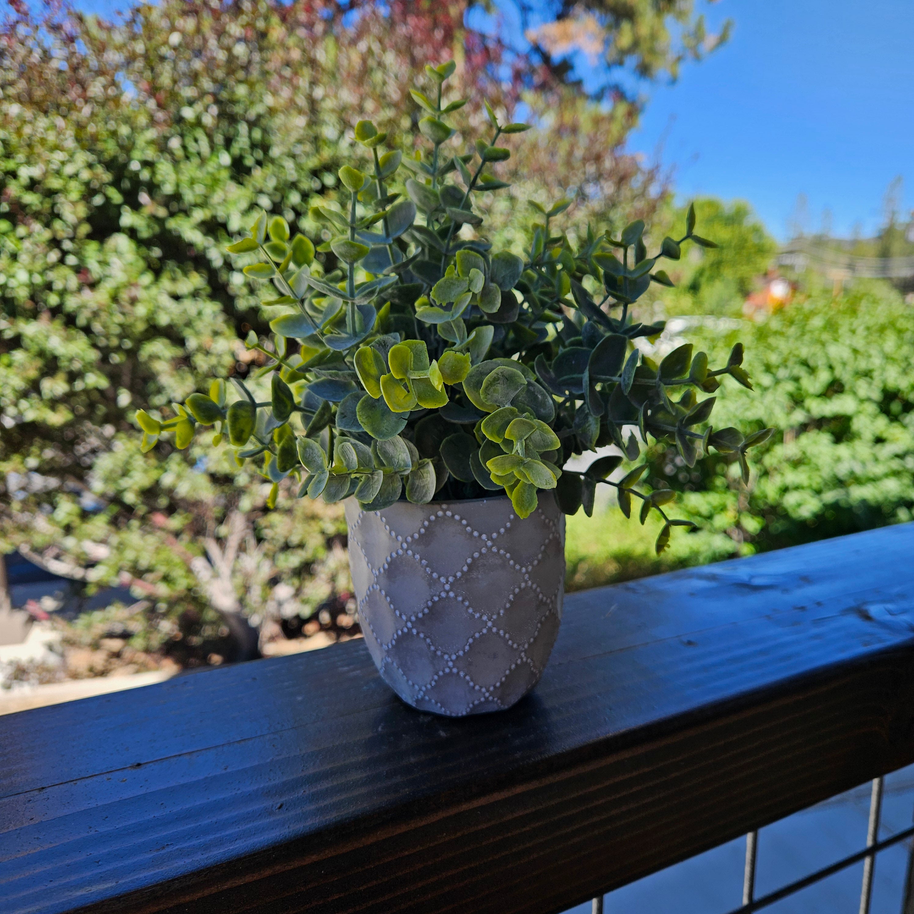 Faux Powdered Euc Plant in a Quatrefoil Design Cement Pot
