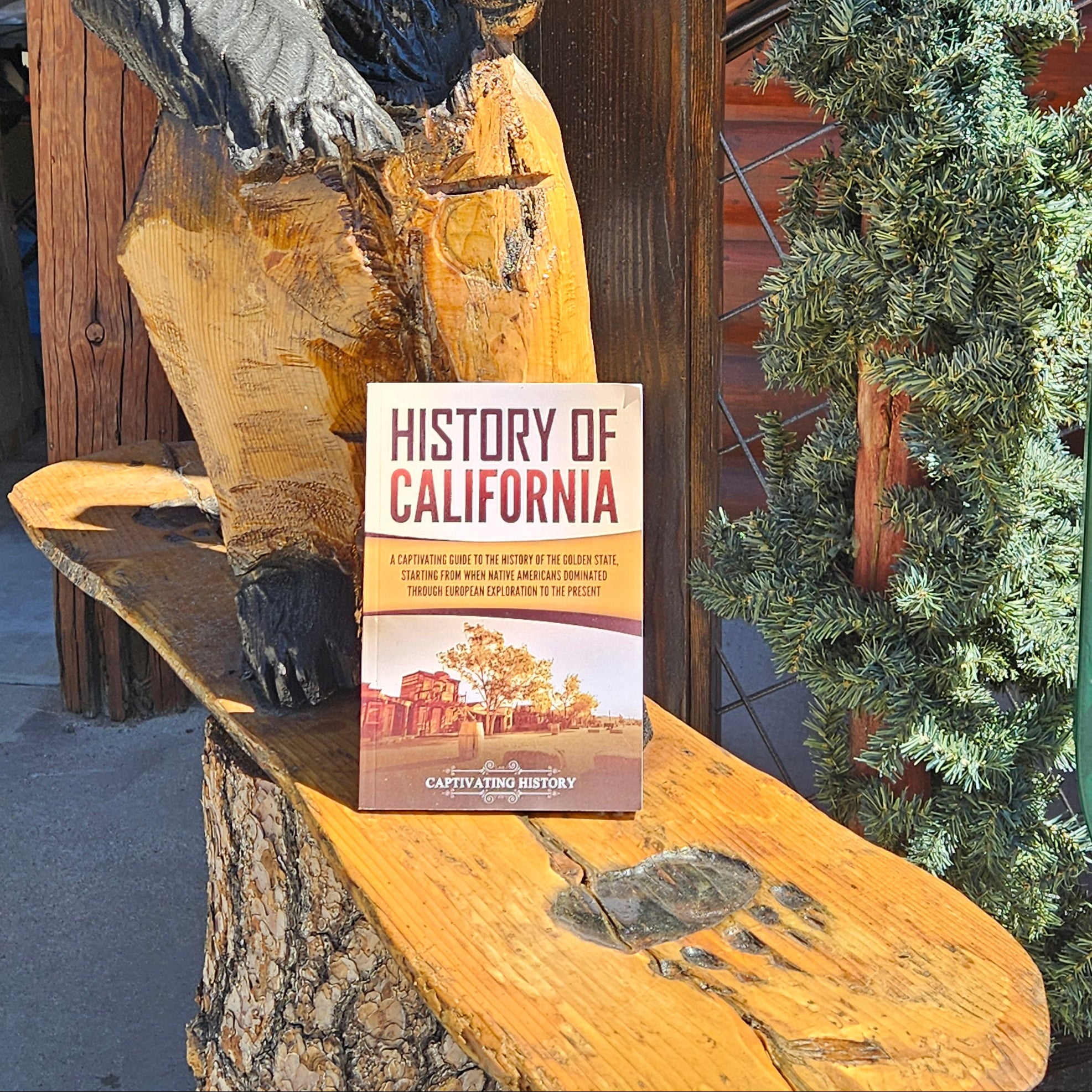 History of California Book Guide