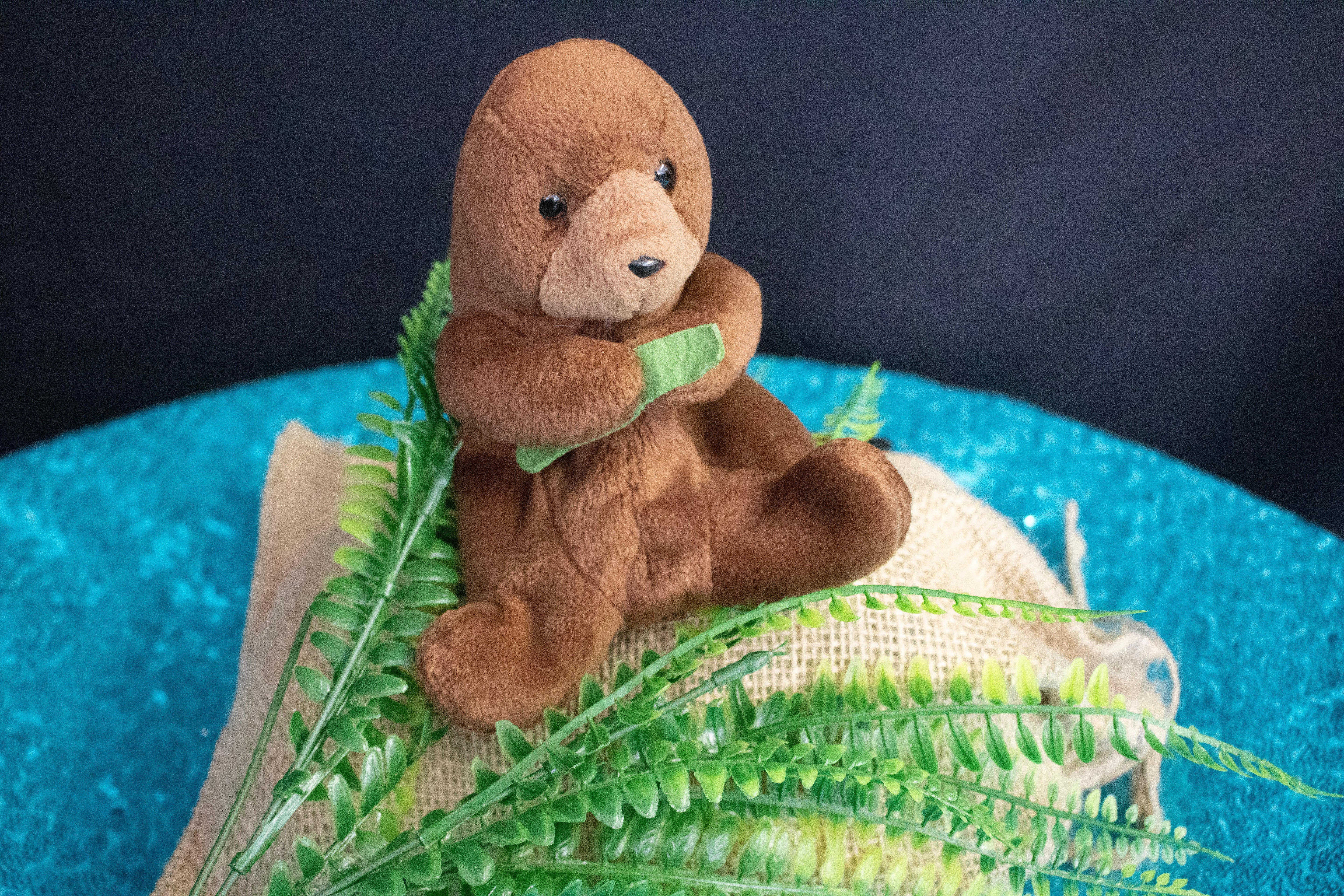 Vintage 1996 Ty Beanie Baby Seaweed the Otter without tag