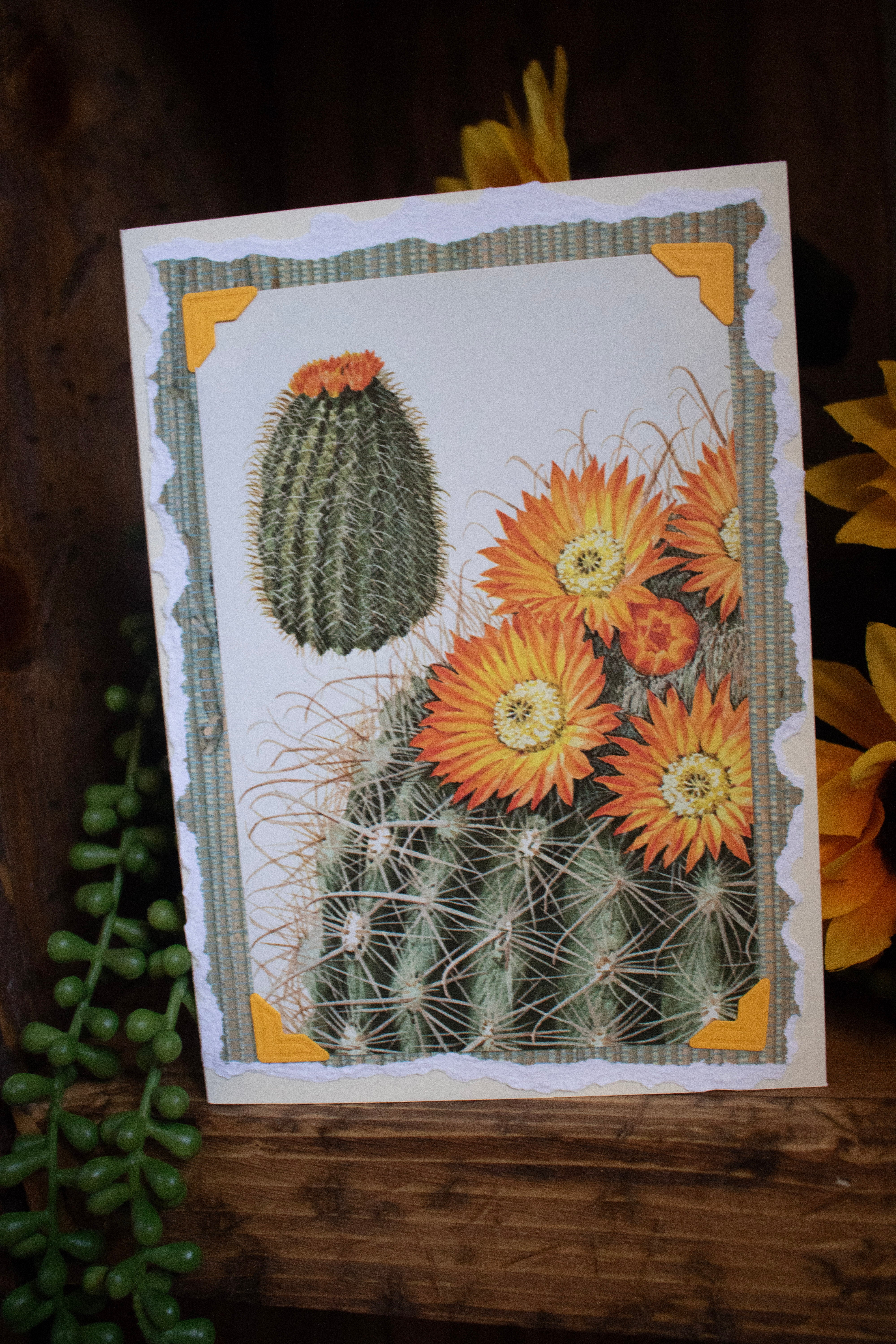 Beautifully Hand Crafted Custom Created Greeting Card Series by Diane Stegman "Barrel Cacti"
