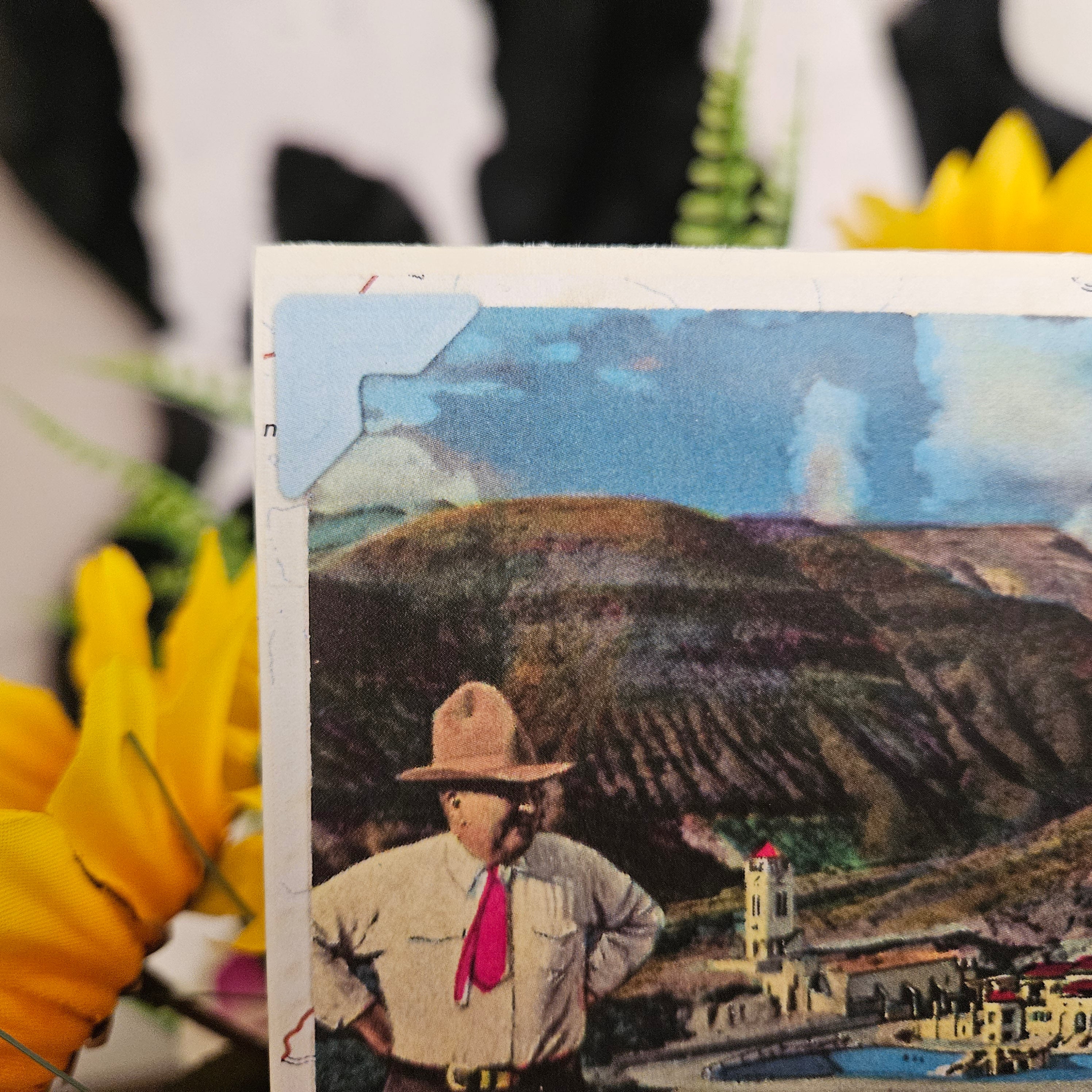 Beautifully Hand Crafted Custom Created Greeting Card Series by Diane Stegman "Scotty's Castle"