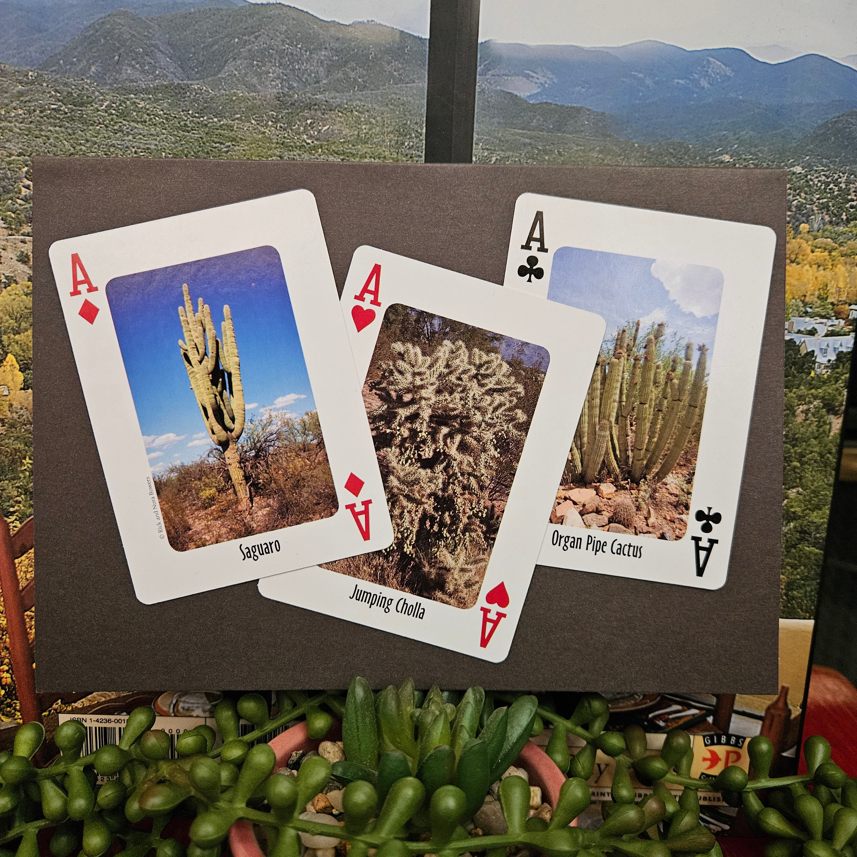 Beautifully Hand Crafted Custom Created Greeting Card Series by Diane Stegman "3 Aces Cactus"