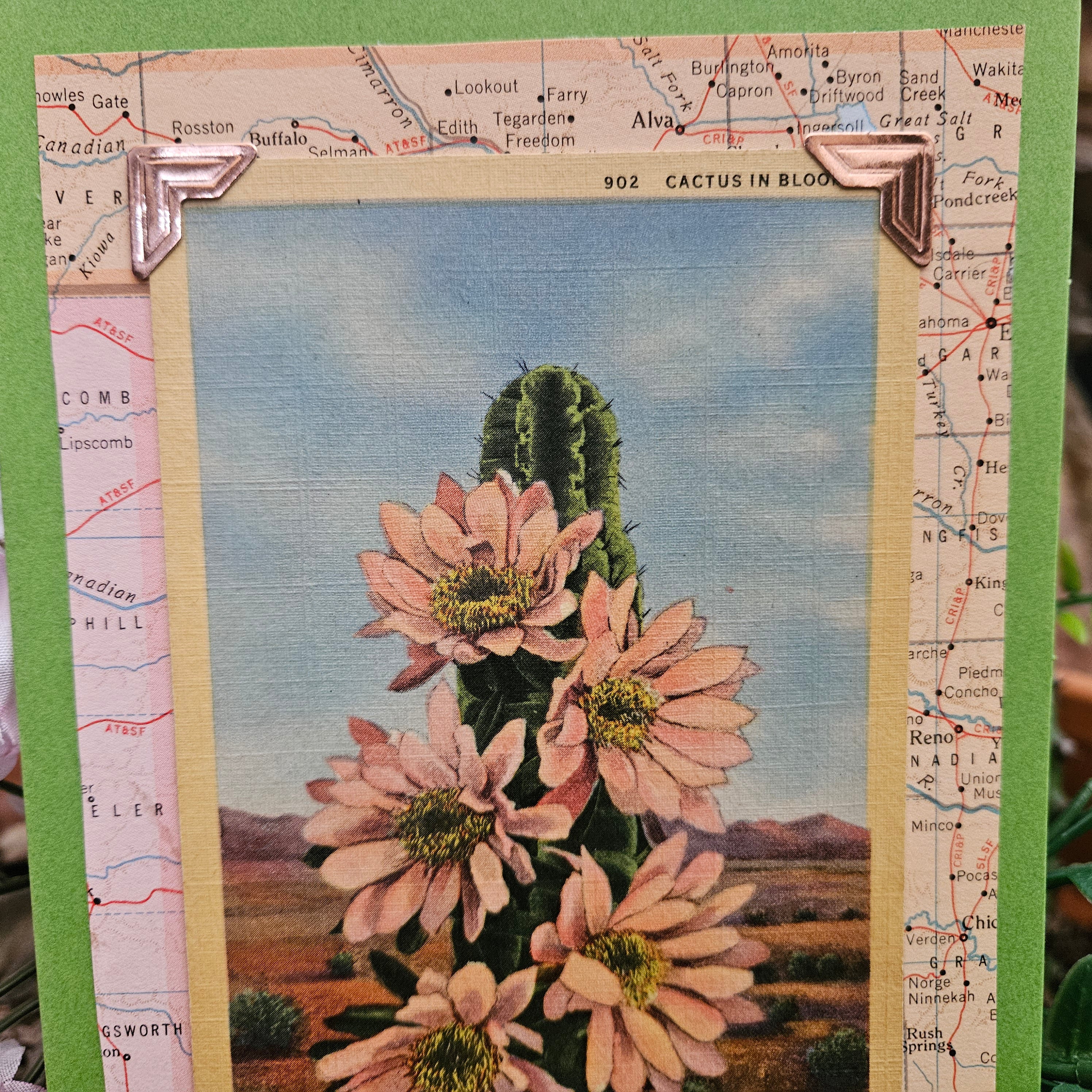 Beautifully Hand Crafted Custom Created Greeting Card Series by Diane Stegman "Cactus in Bloom"