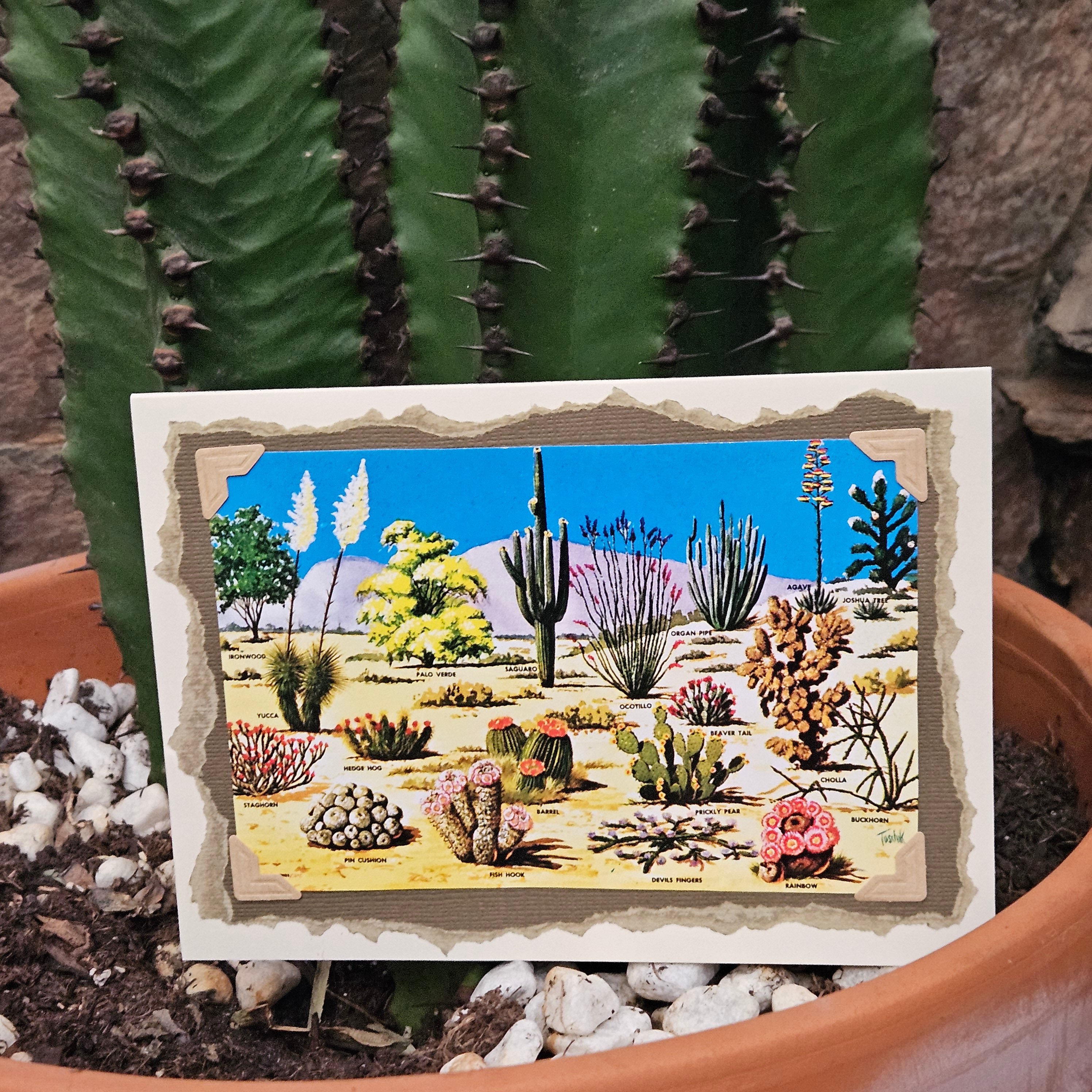 Beautifully Hand Crafted Custom Created Greeting Card Series by Diane Stegman "Cactus Identification"