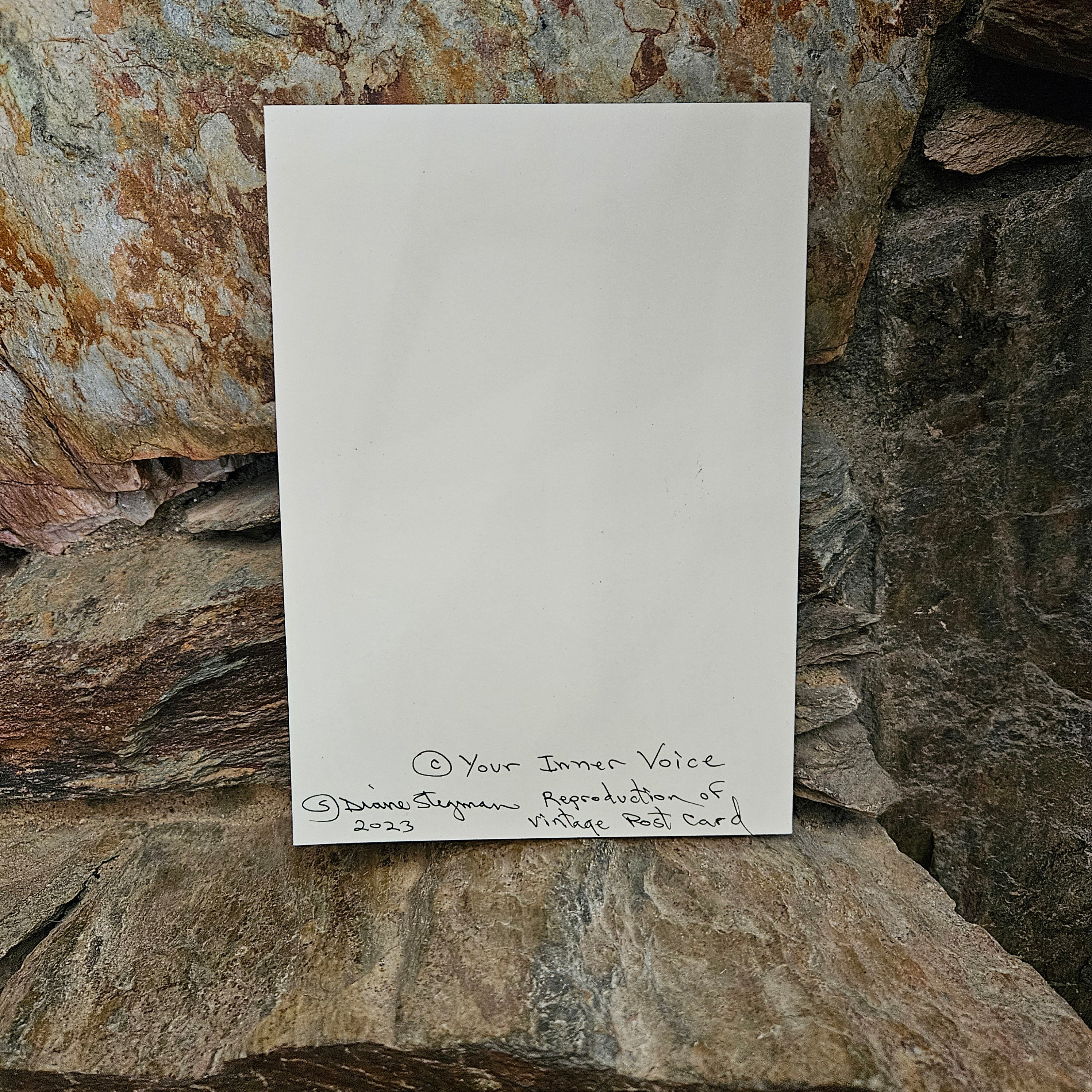 Beautifully Hand Crafted Custom Created Greeting Card Series by Diane Stegman "Giant Saguaro Cactus"