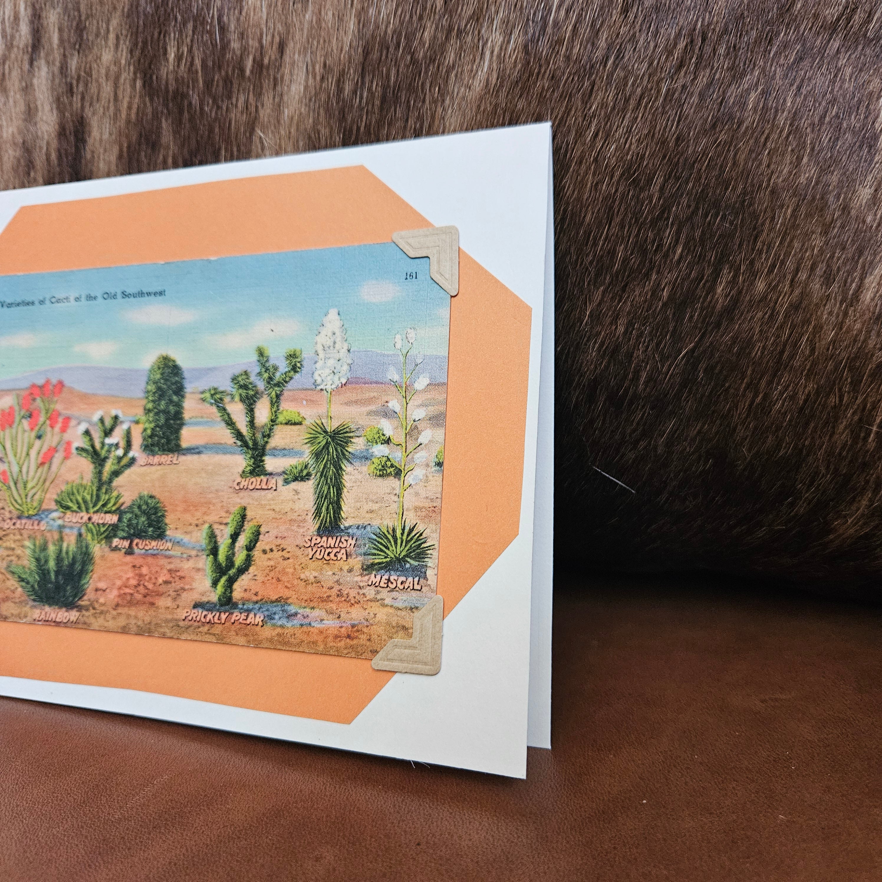 Beautifully Hand Crafted Custom Created Greeting Card Series by Diane Stegman "Cacti of the Old Southwest"