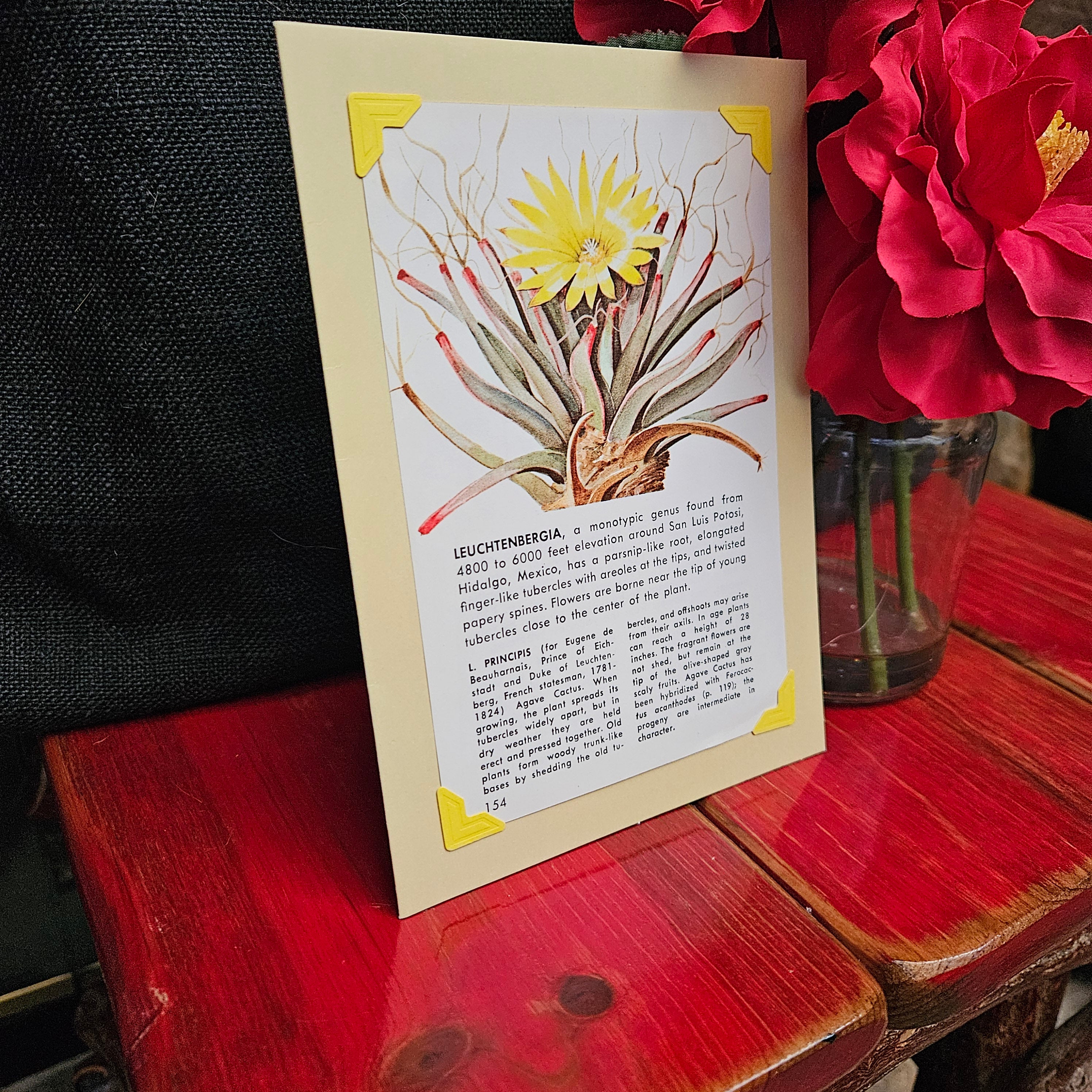 Beautifully Hand Crafted Custom Created Greeting Card Series by Diane Stegman "Flowering Aloe"