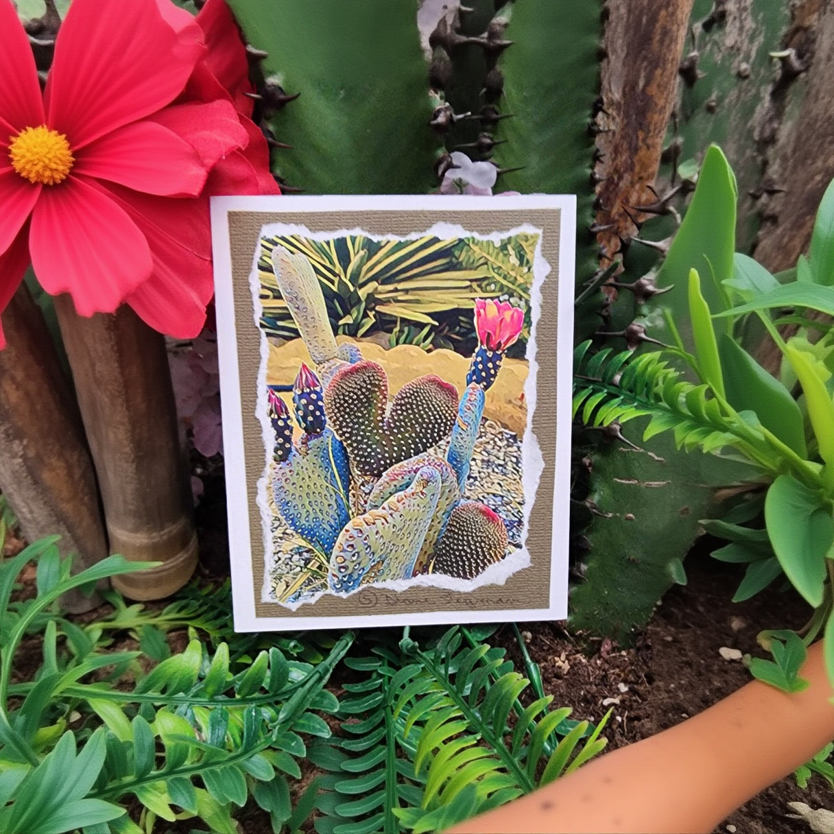 Beautifully Hand Crafted Custom Created Greeting Card Series by Diane Stegman "Heart Shaped Cactus"