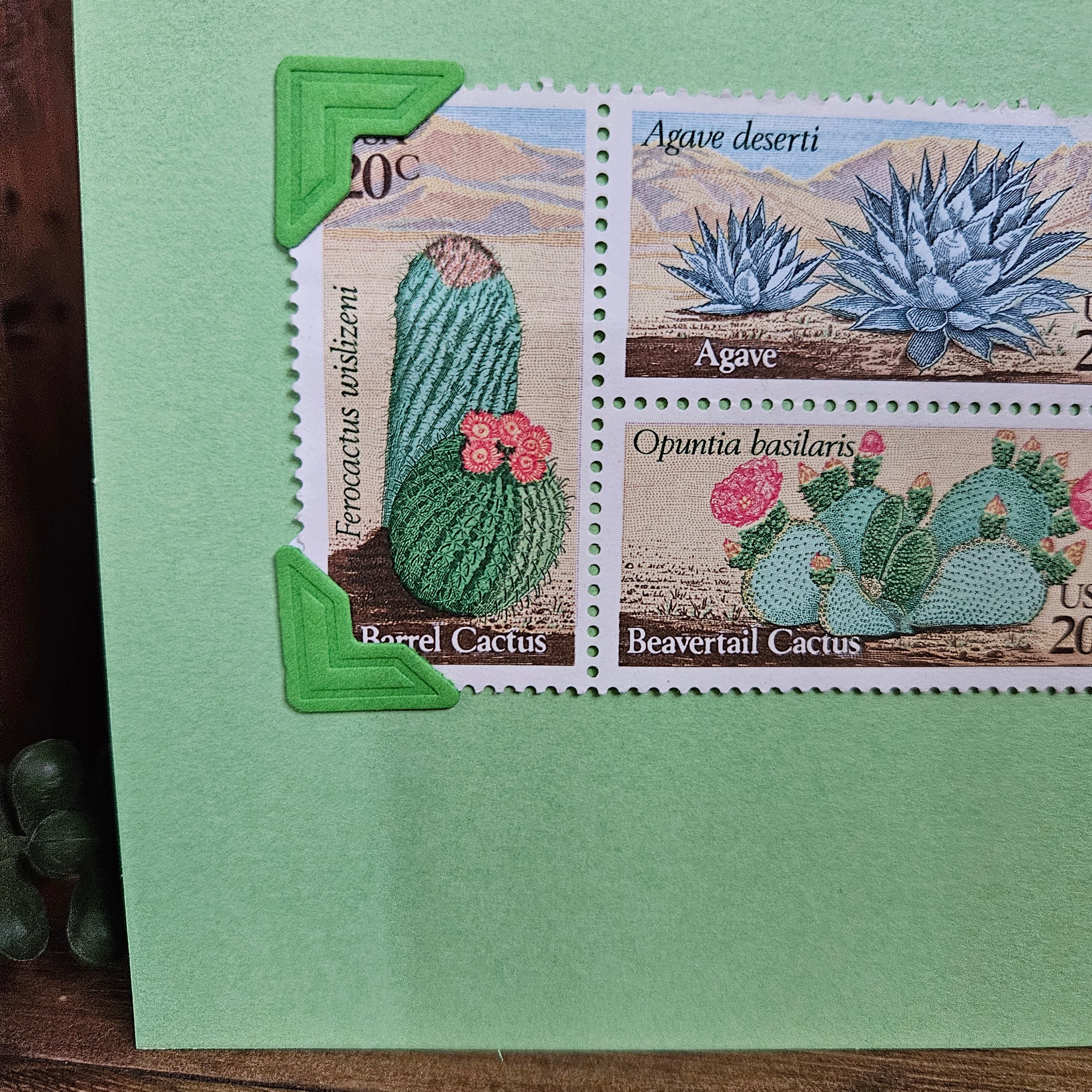 Beautifully Hand Crafted Custom Created Greeting Card Series by Diane Stegman "Cactus Stamps"
