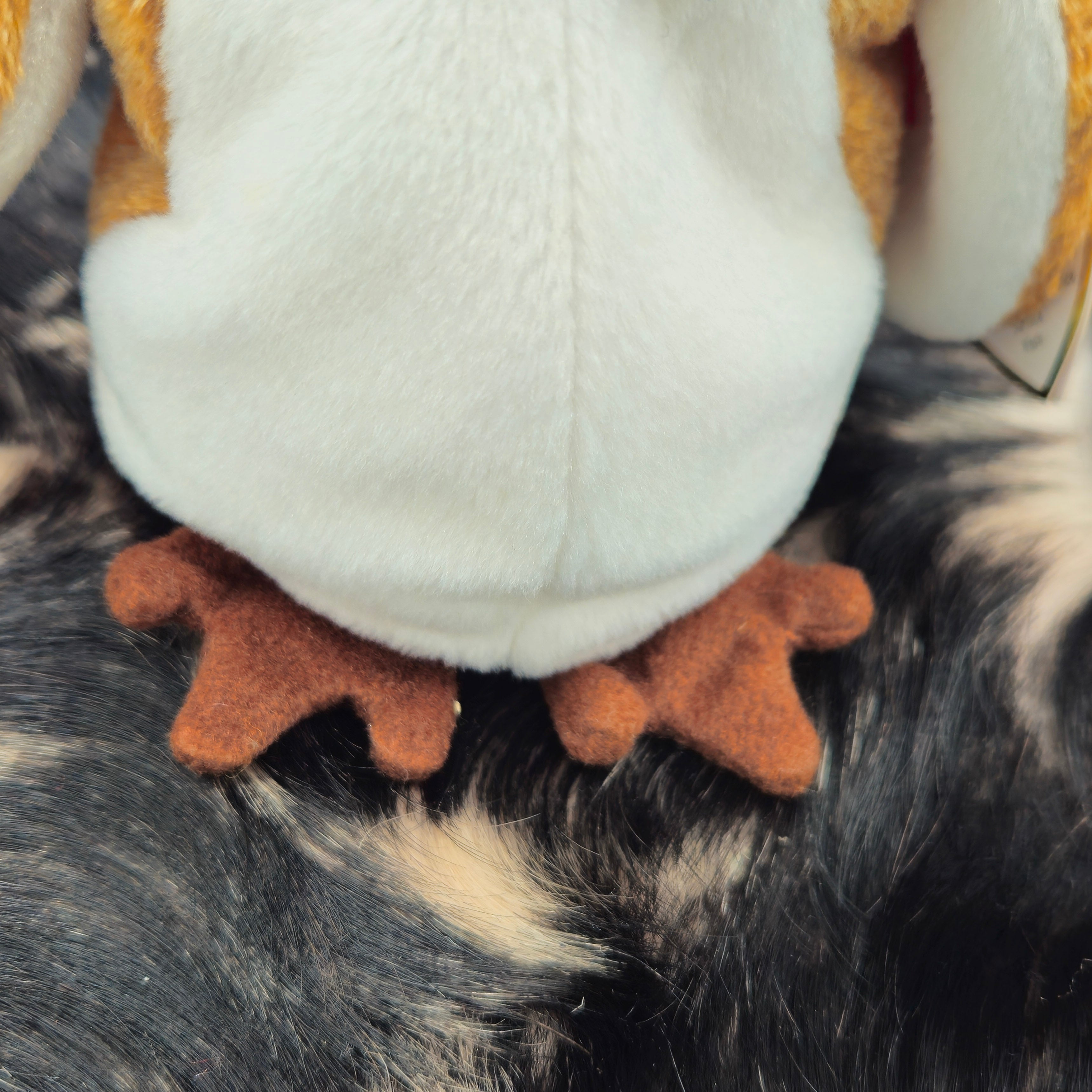 Ty Beanie Babies "Wisest the Owel"