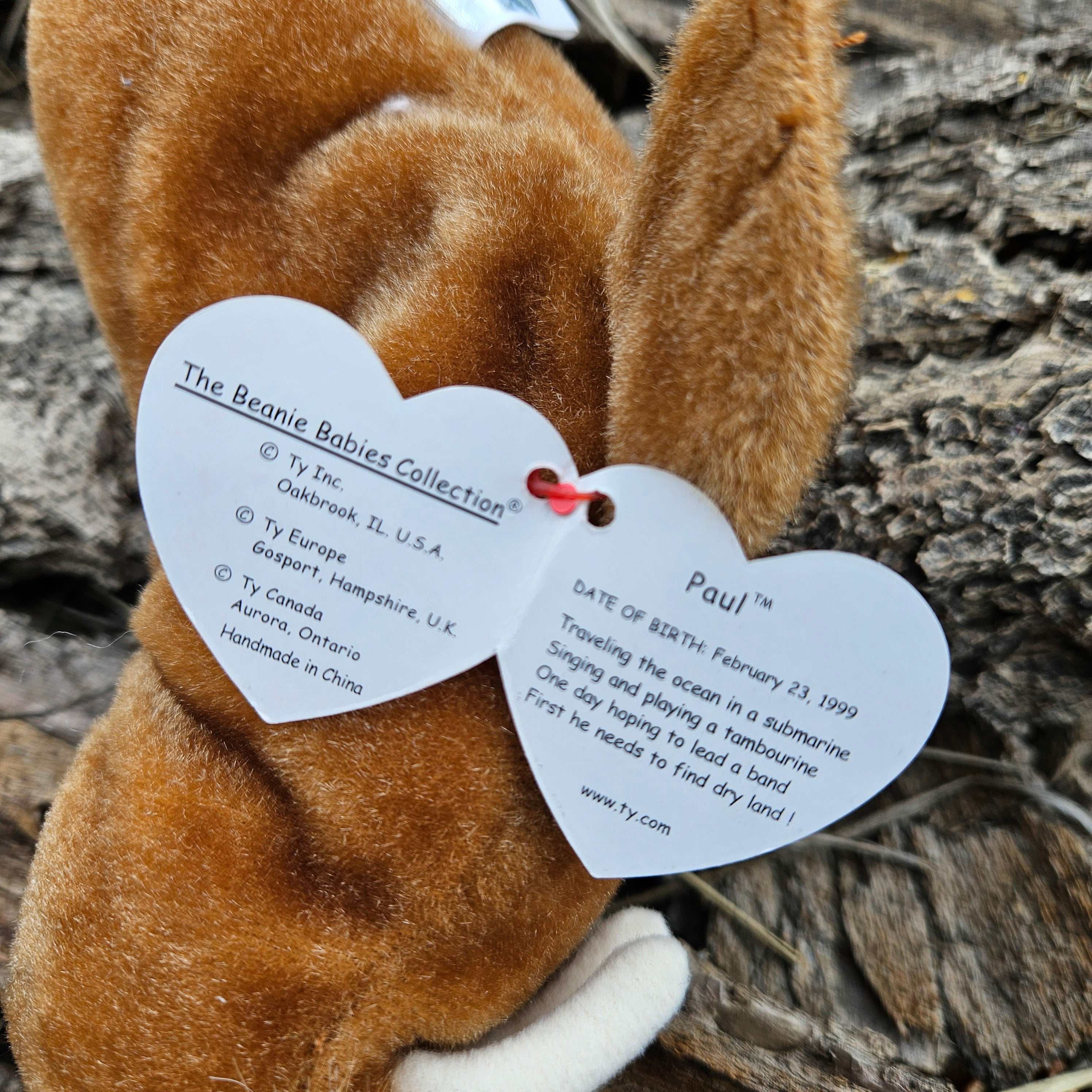 Ty Beanie Babies "Paul the Walrus"