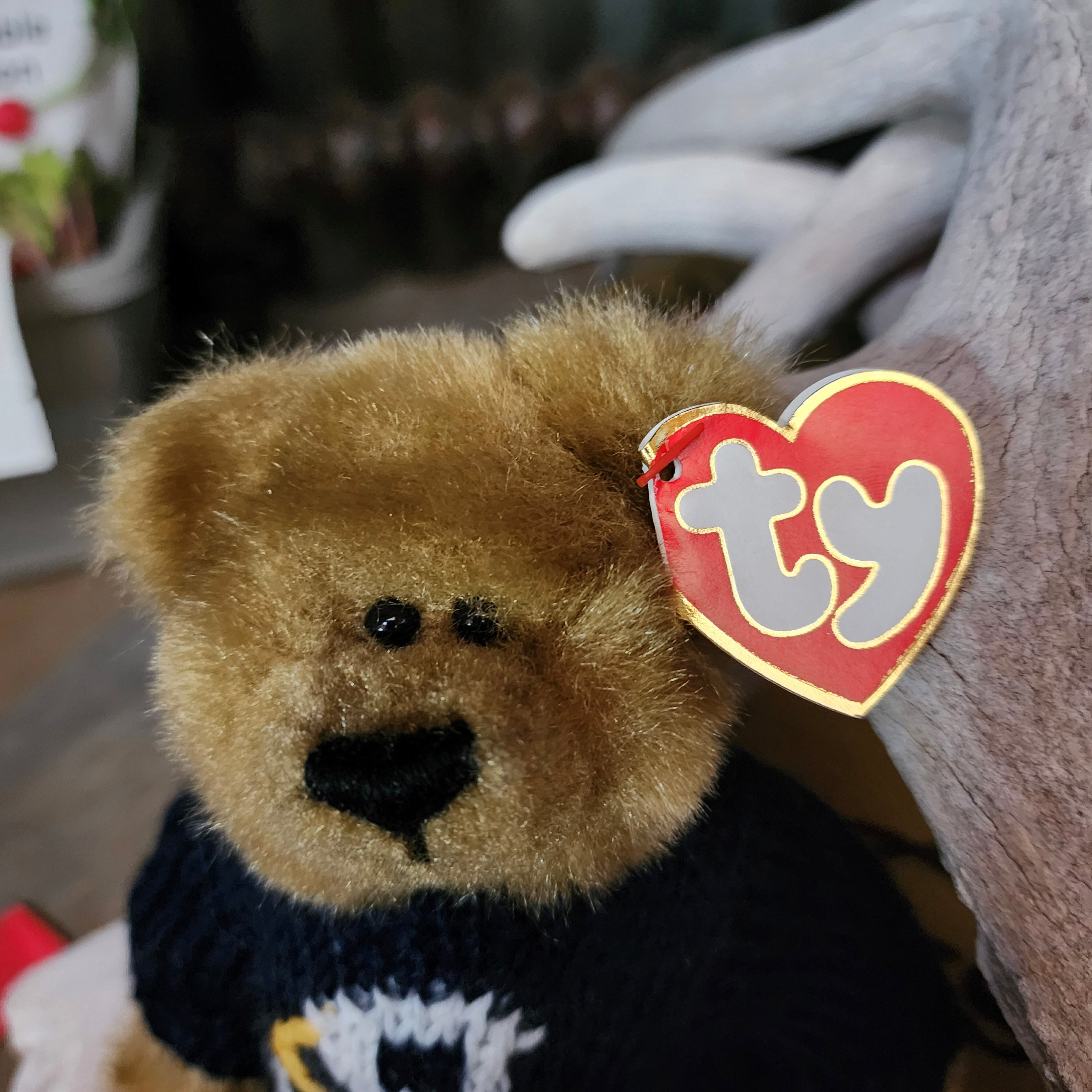 Ty Beanie Babies "Salty the Bear"