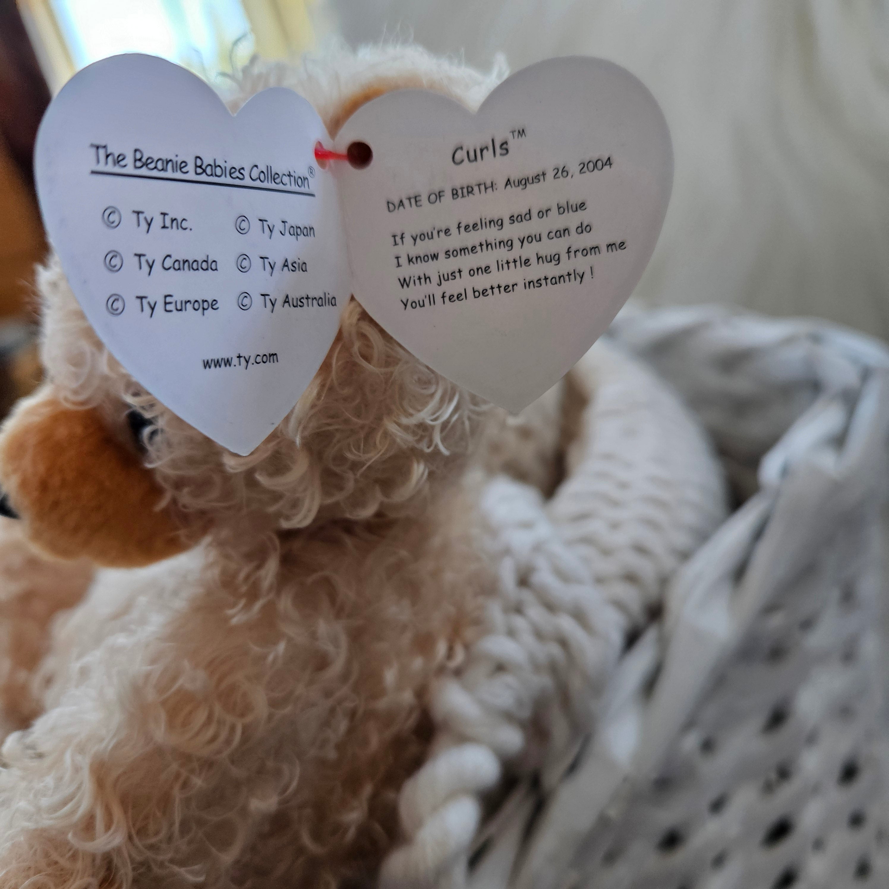Ty Beanie Babies "Curls the Bear"