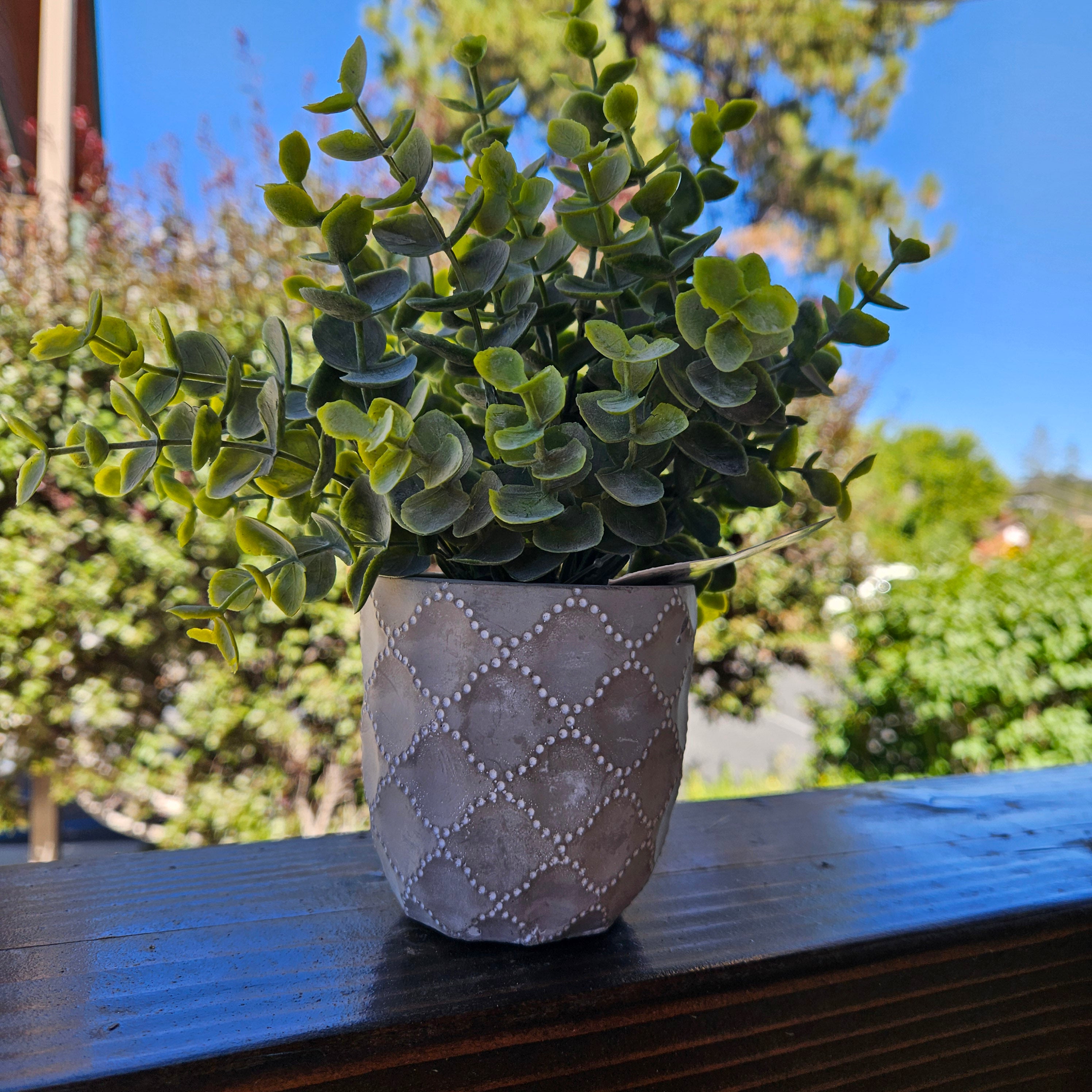 Faux Powdered Euc Plant in a Quatrefoil Design Cement Pot