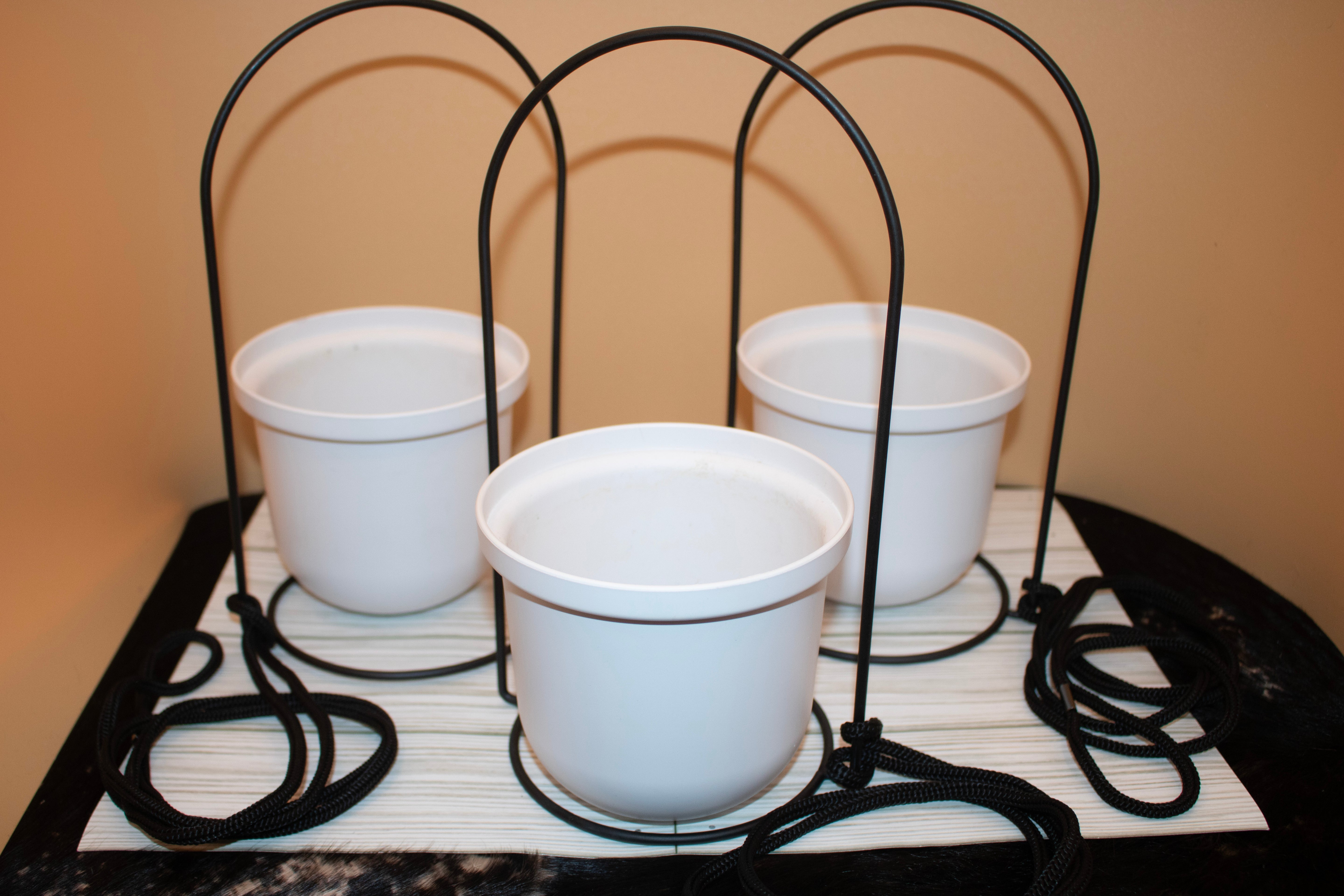 Umbra Triflora Hanging Planter for Window, Indoor Herb Garden, Set of 3, White/Black