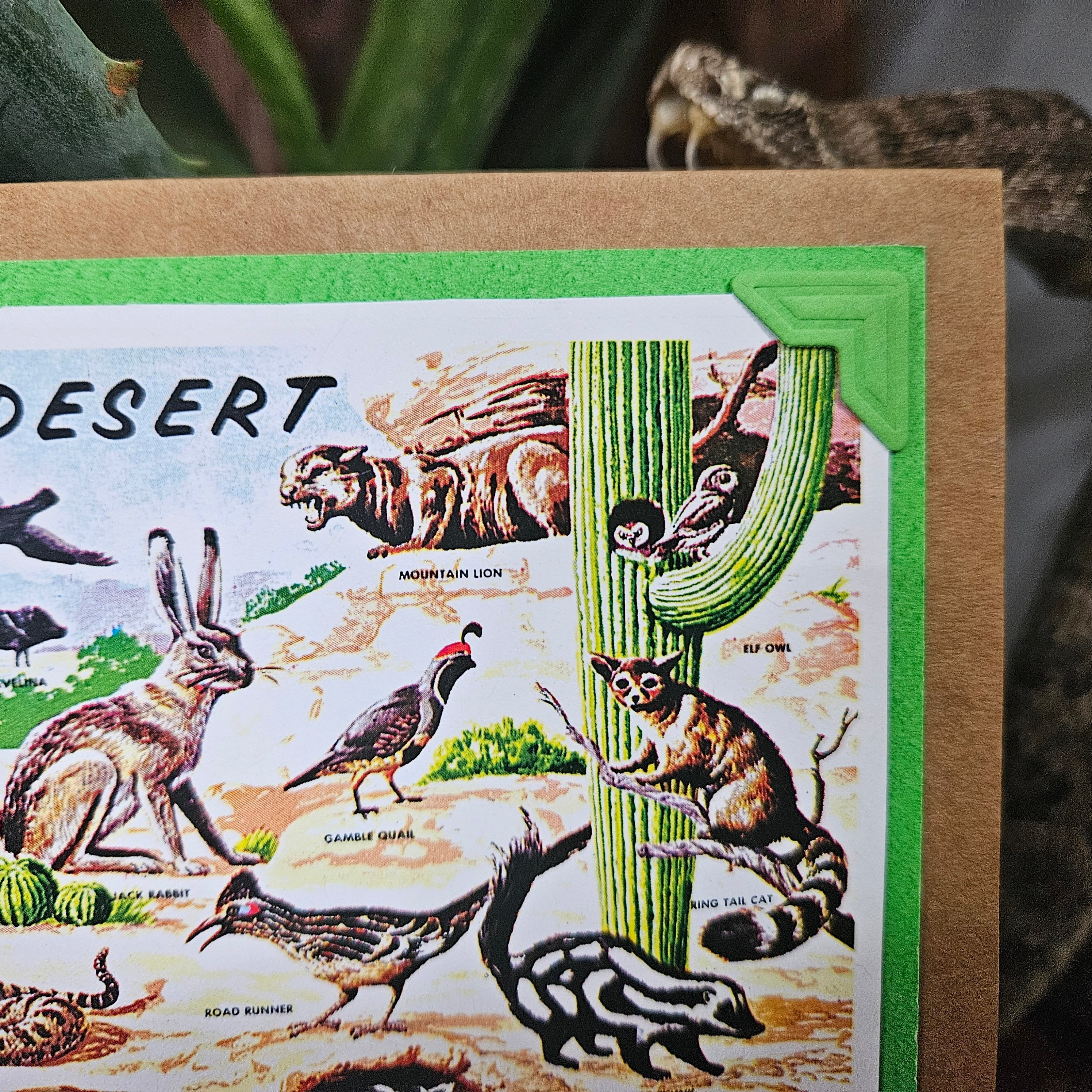 Beautifully Hand Crafted Custom Created Greeting Card Series by Diane Stegman "Wildlife of the Desert"