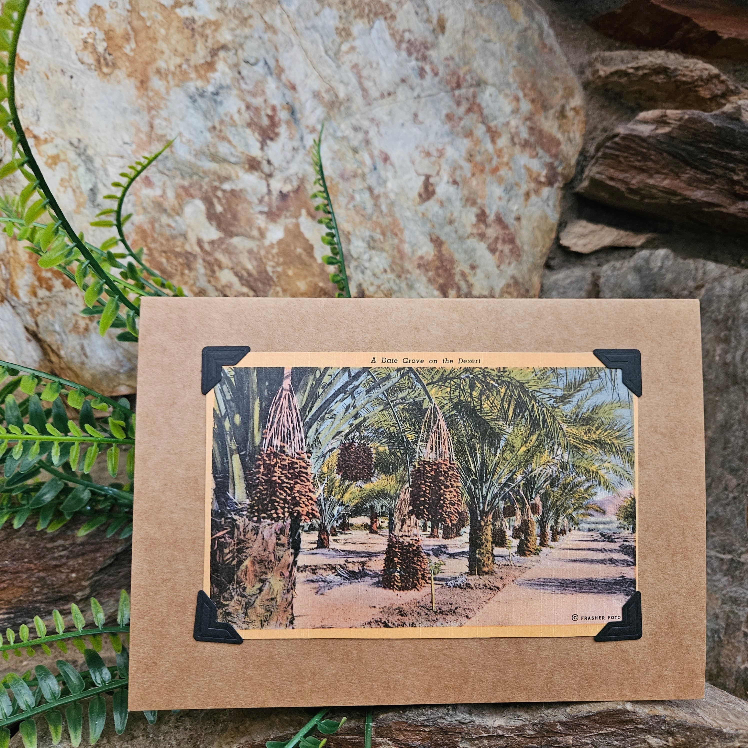 Beautifully Hand Crafted Custom Created Greeting Card Series by Diane Stegman "A Date Grove in the Desert "