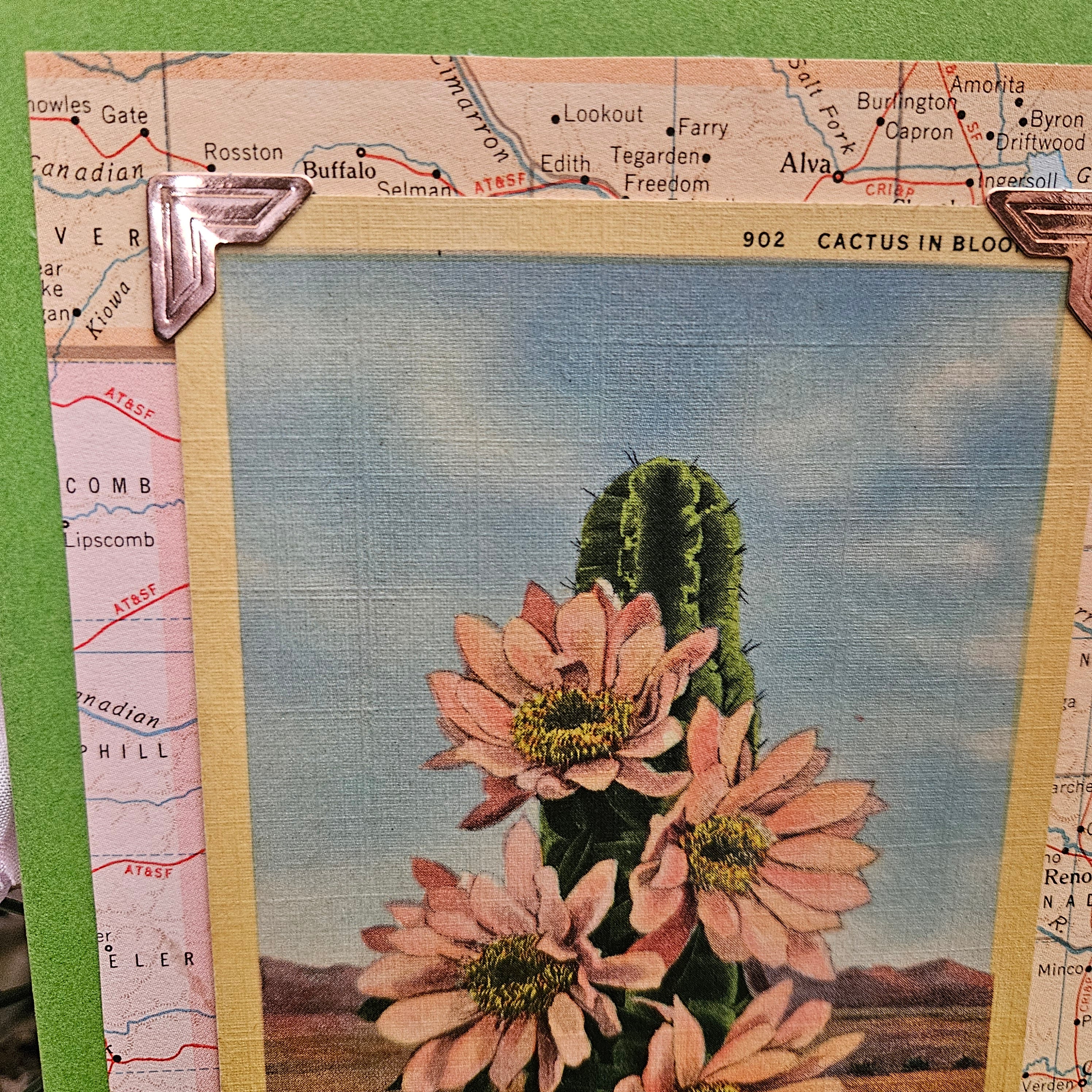 Beautifully Hand Crafted Custom Created Greeting Card Series by Diane Stegman "Cactus in Bloom"