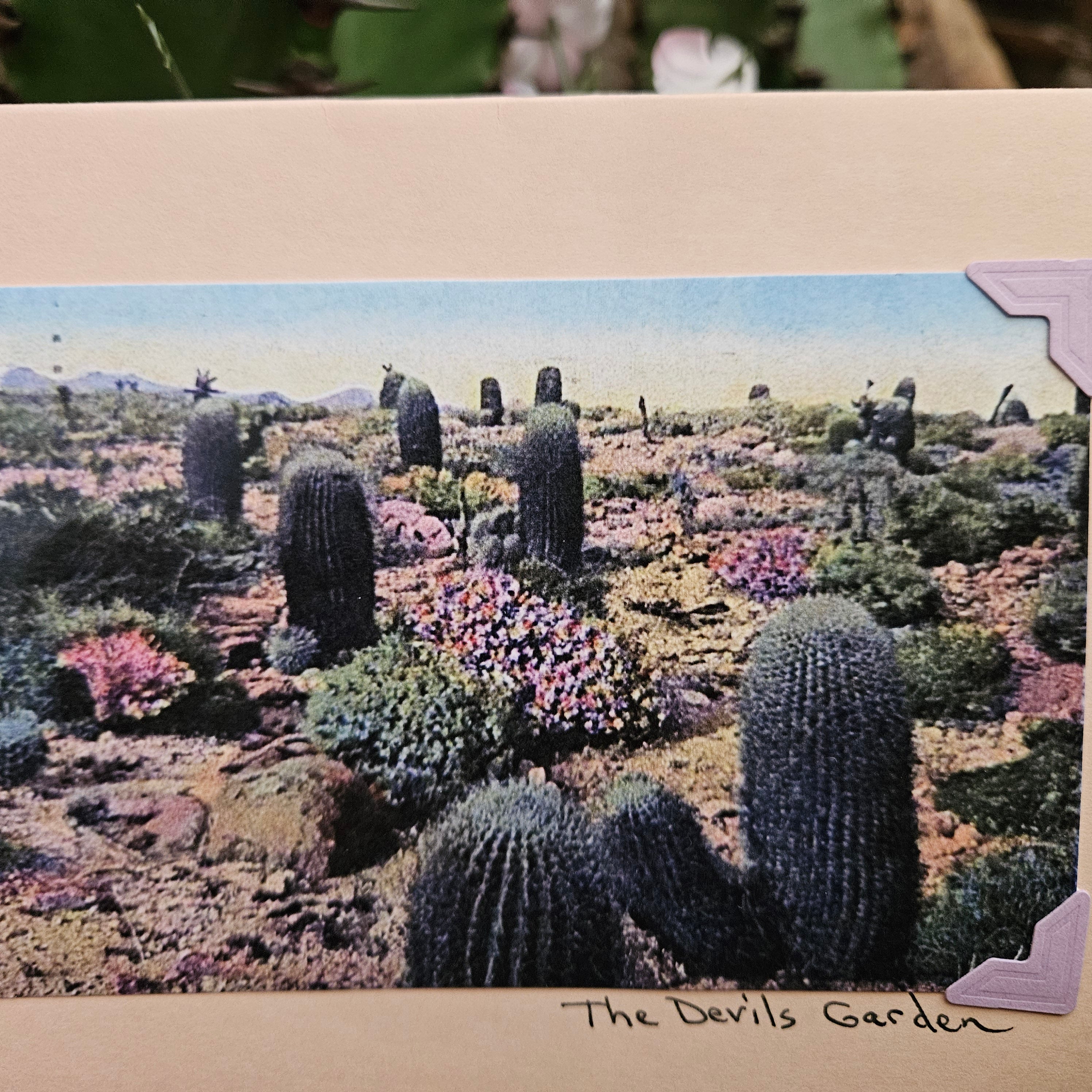 Beautifully Hand Crafted Custom Created Greeting Card Series by Diane Stegman "The Devil's Garden"