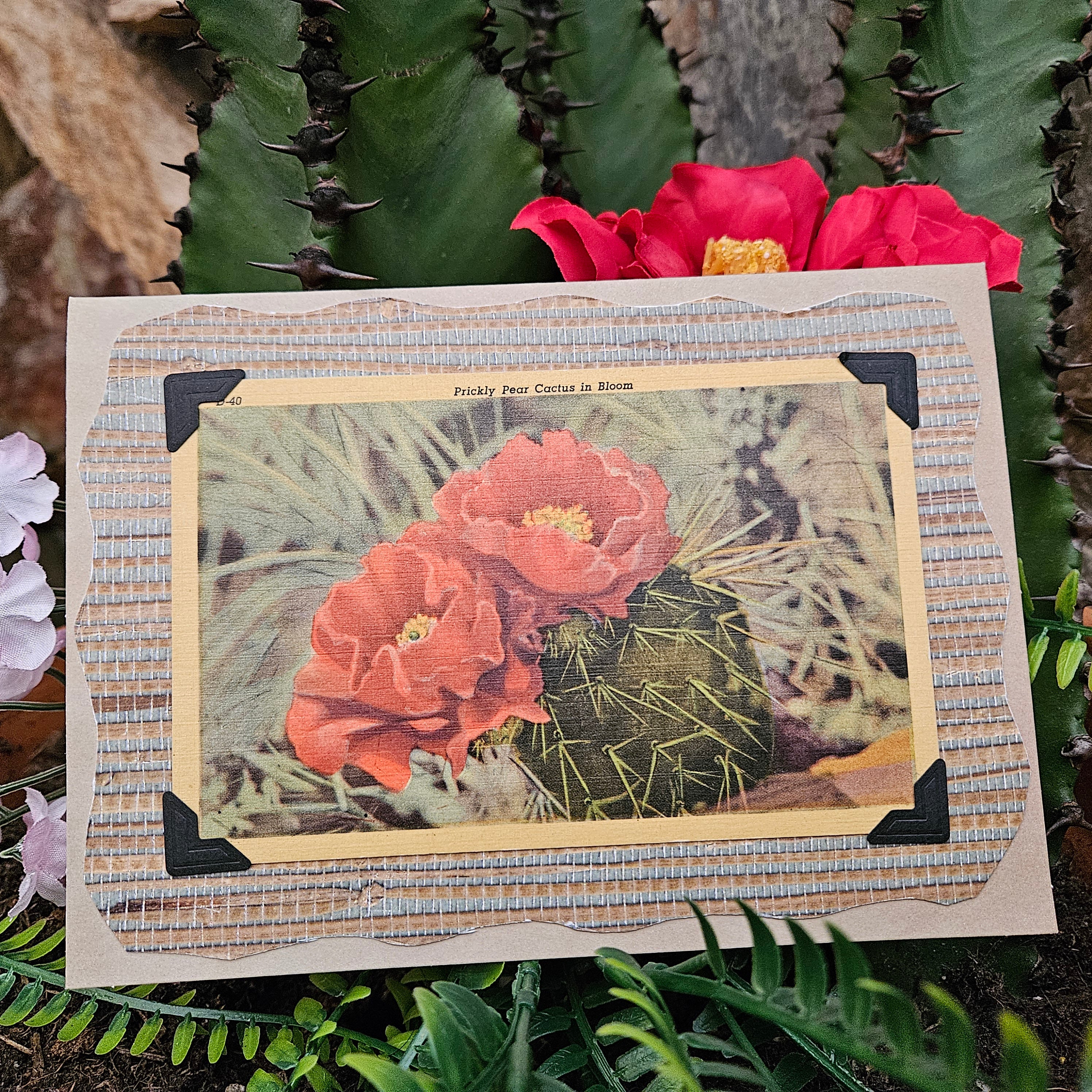Beautifully Hand Crafted Custom Created Greeting Card Series by Diane Stegman "Prickly Pear Cactus in Bloom"
