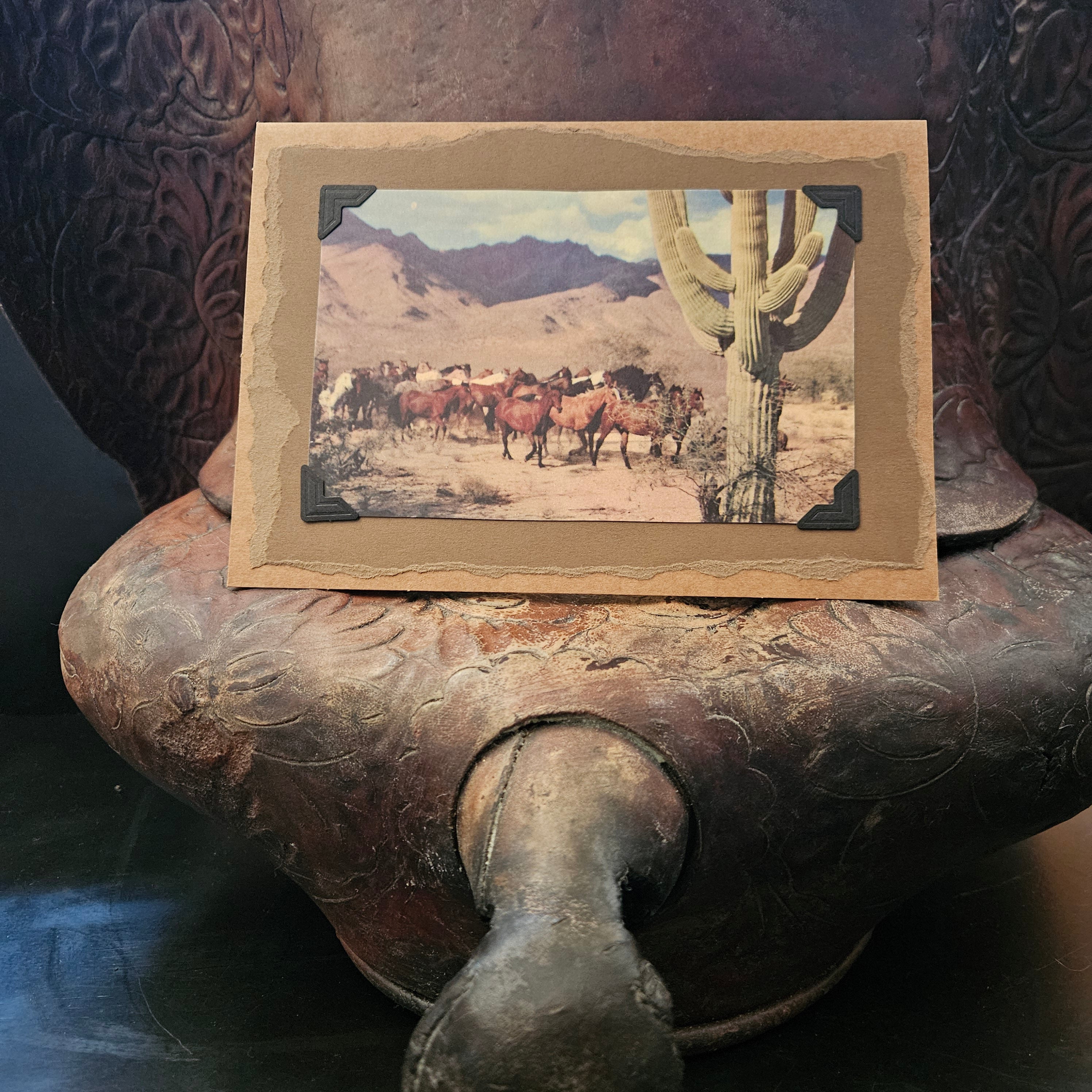Beautifully Hand Crafted Custom Created Greeting Card Series by Diane Stegman "Herd of Horses"