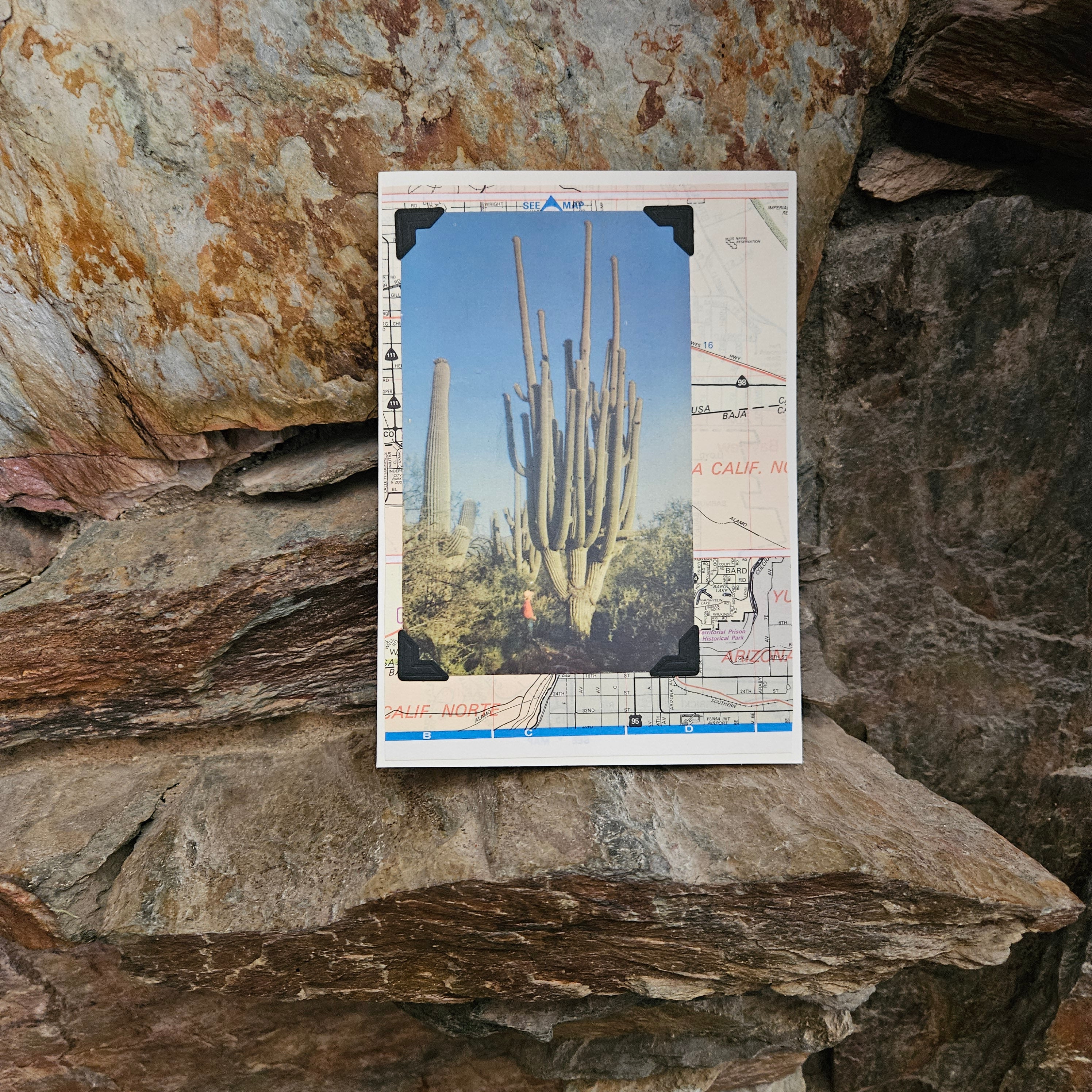 Beautifully Hand Crafted Custom Created Greeting Card Series by Diane Stegman "Giant Saguaro Cactus"