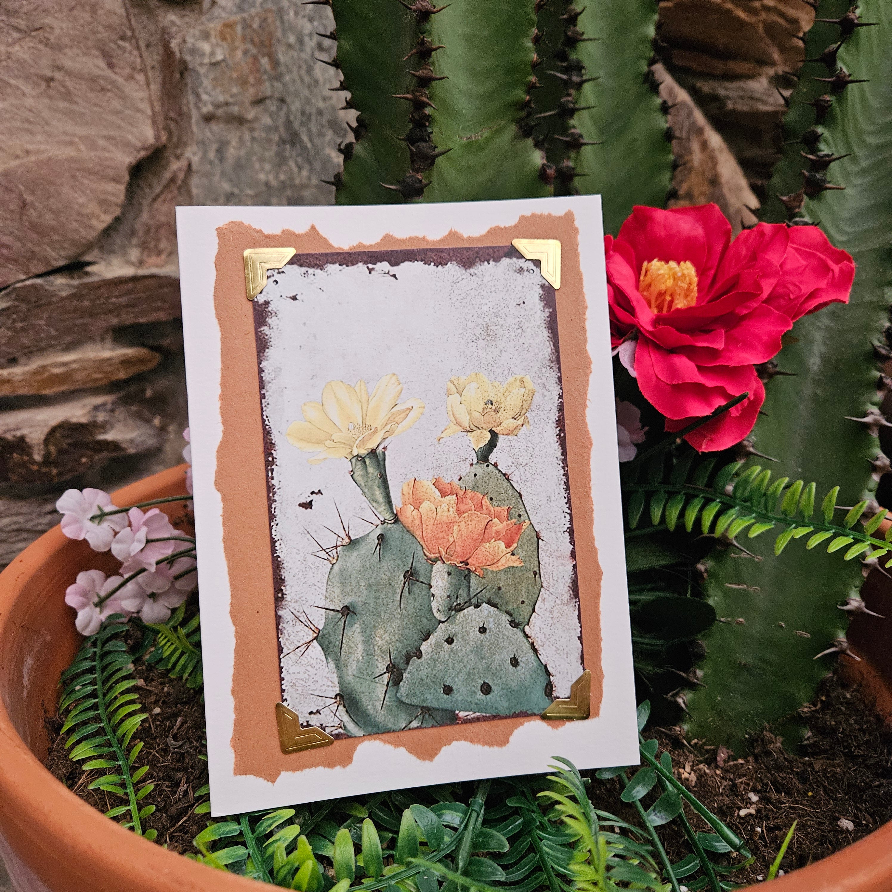 Beautifully Hand Crafted Custom Created Greeting Card Series by Diane Stegman "Prickly Pear Cactus"