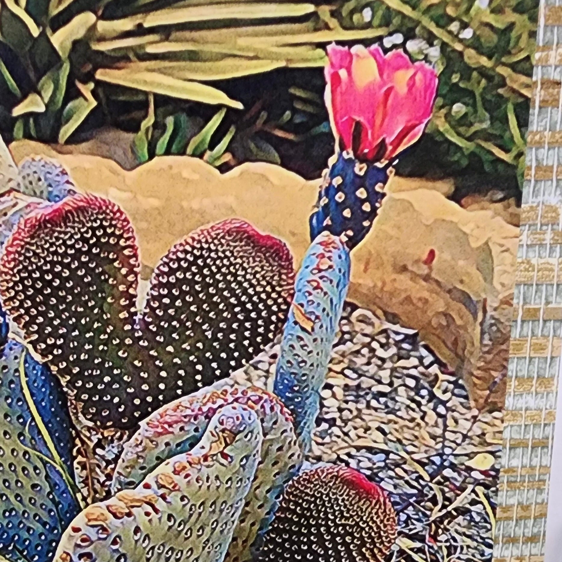 Beautifully Hand Crafted Custom Created Greeting Card Series by Diane Stegman "Heart Shaped Cactus"