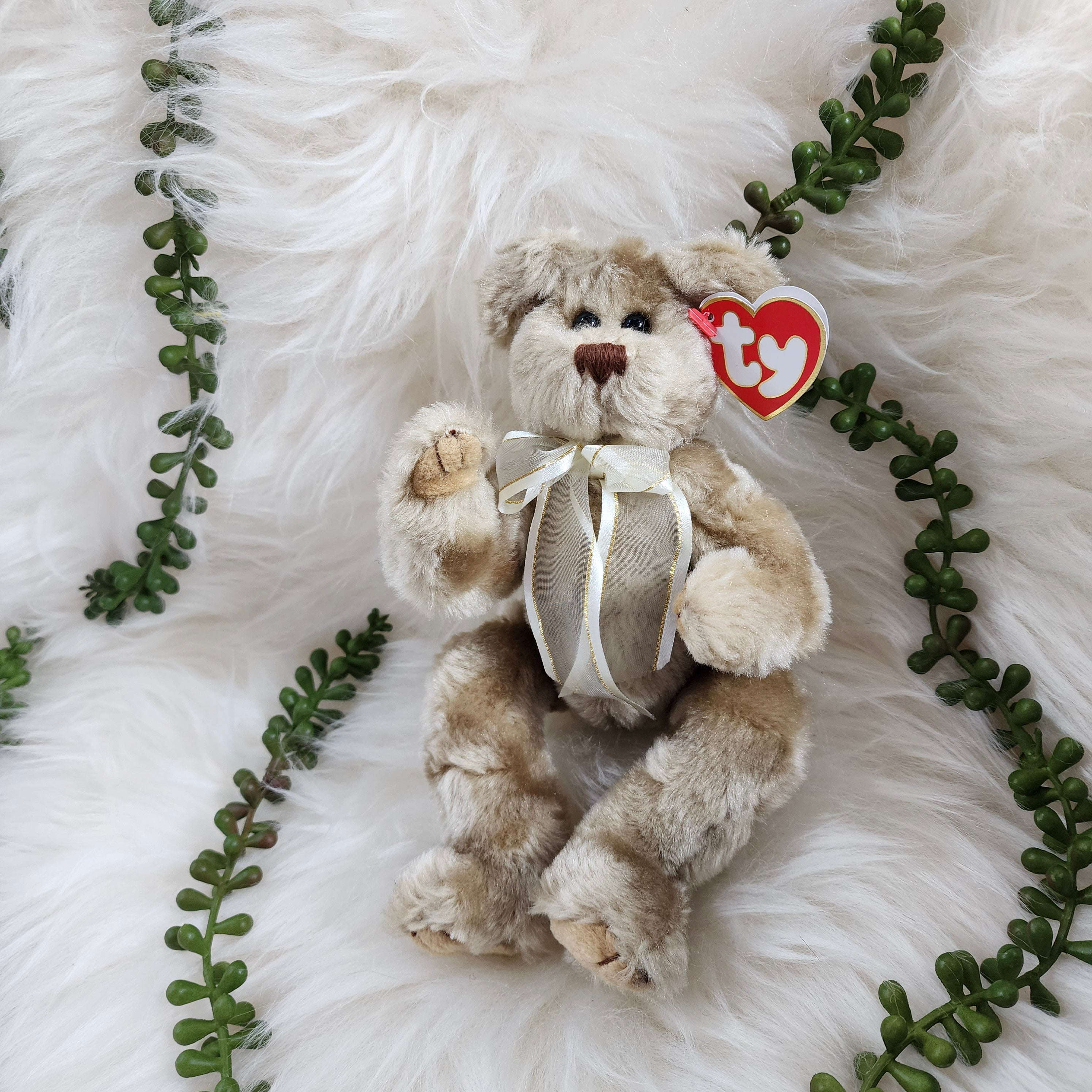 Ty Beanie Babies 'Beveryly the Bear' wearing a white bow