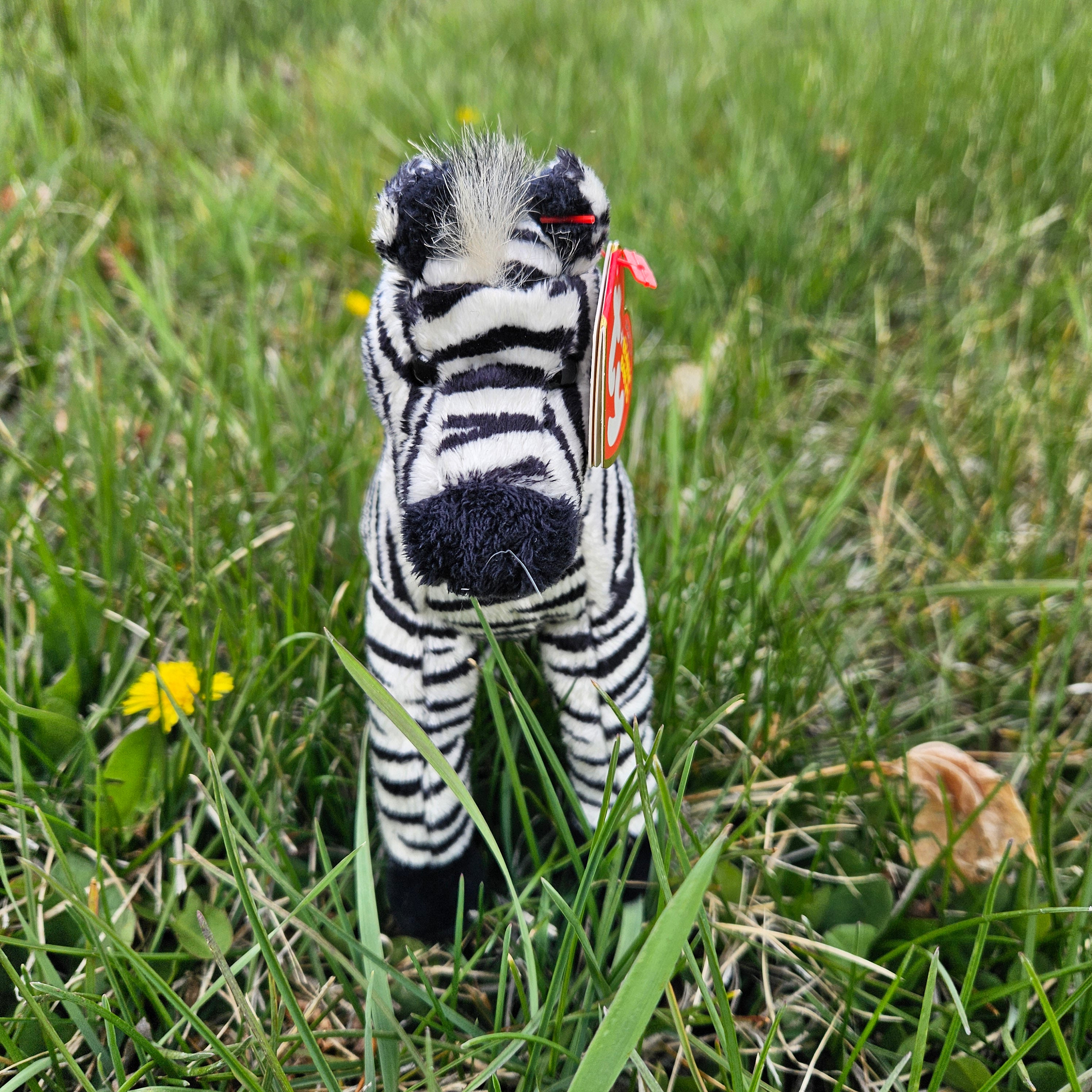 Ty Beanie Babies "Dizz the Zebra"