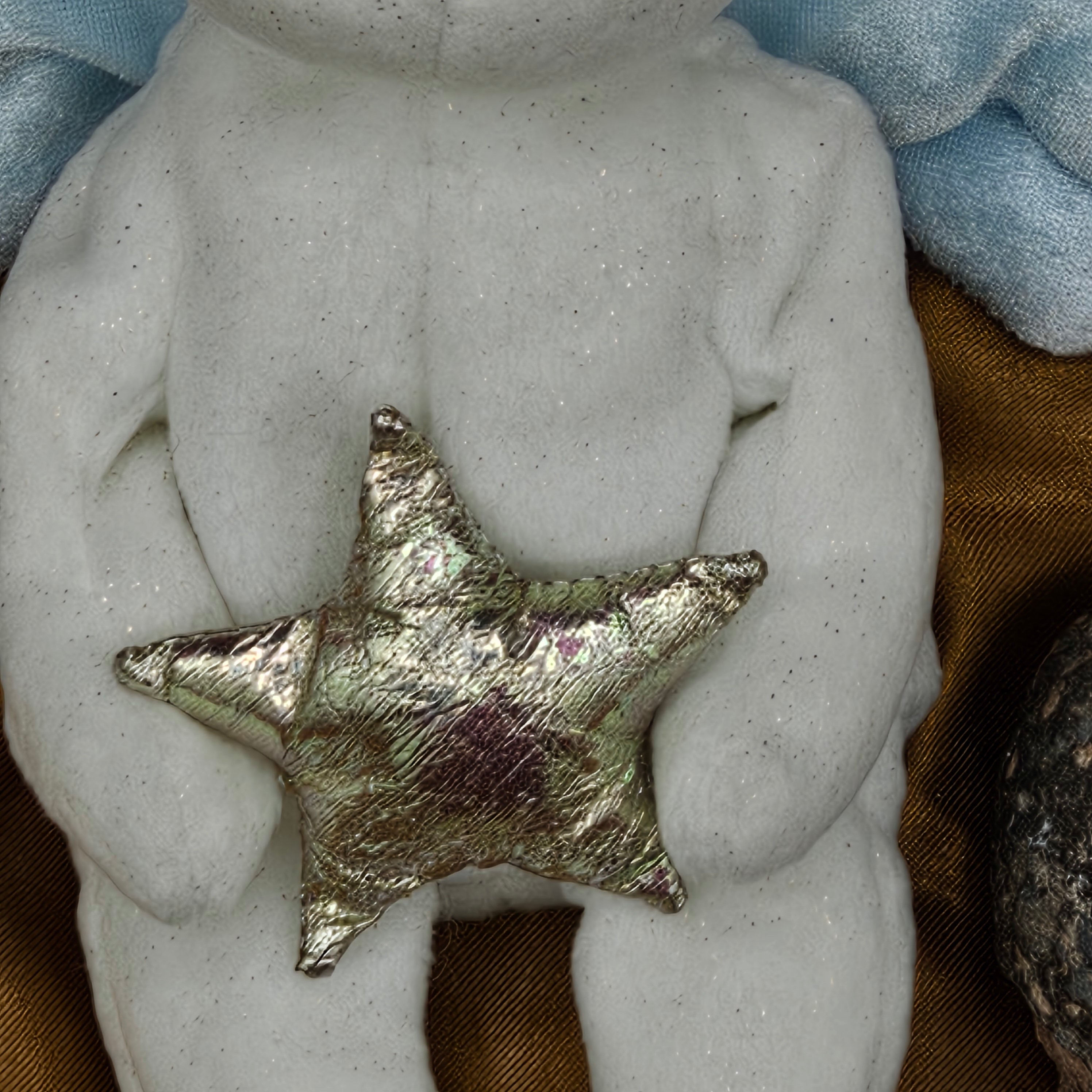 Ty Beanie Babies "Star the Bear"