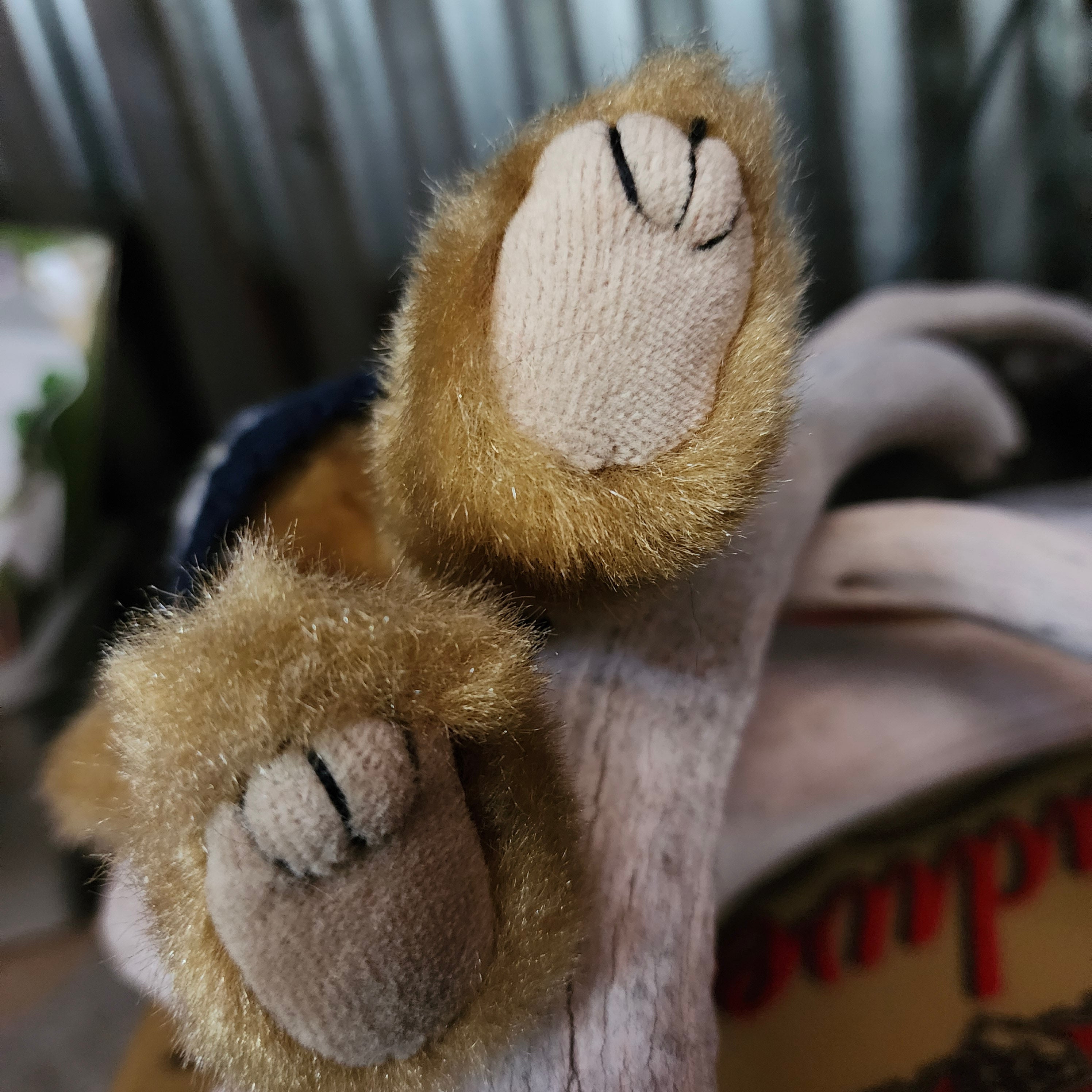 Ty Beanie Babies "Salty the Bear"