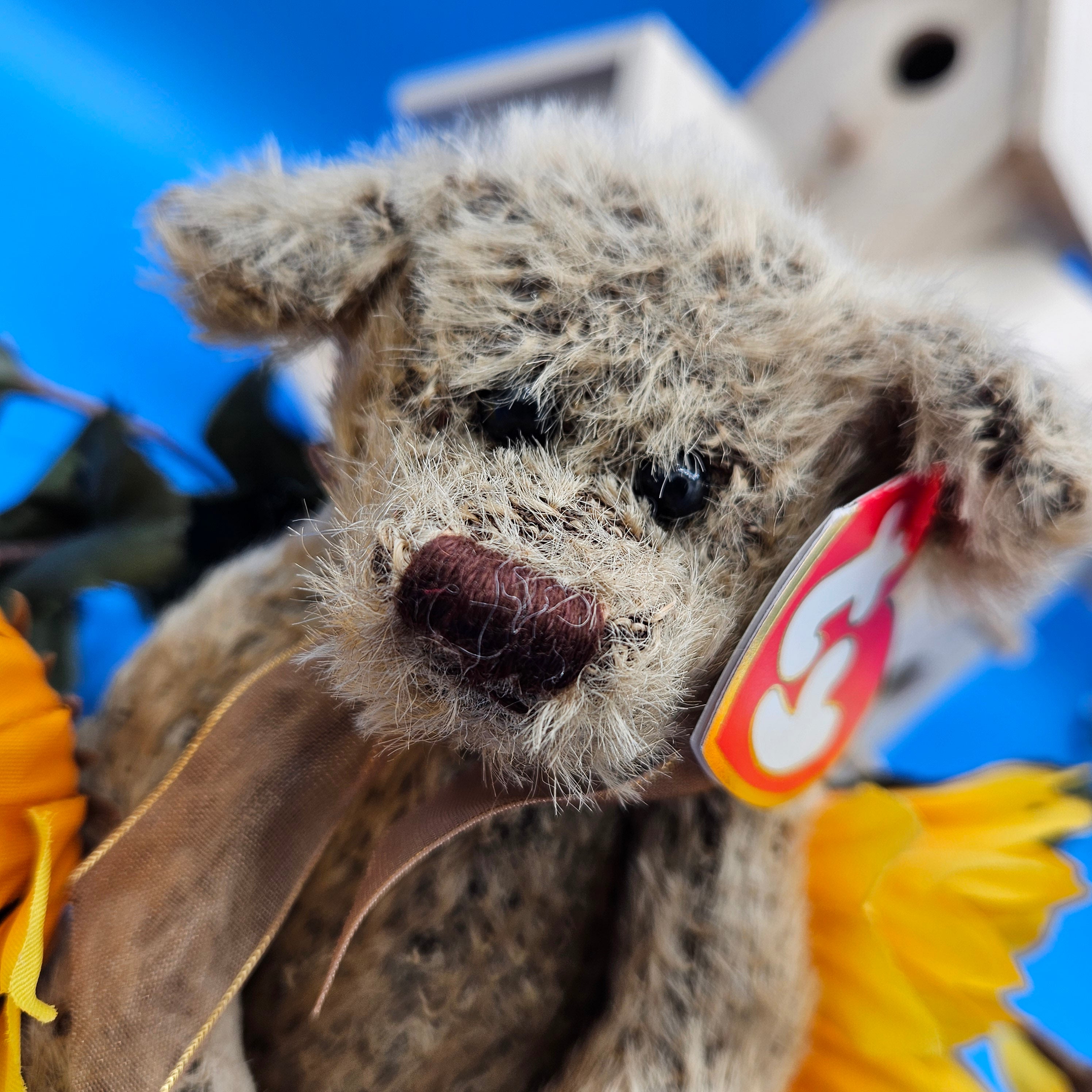 Ty Beanie Babies Birch the Bear "Growing Old Gracefully"