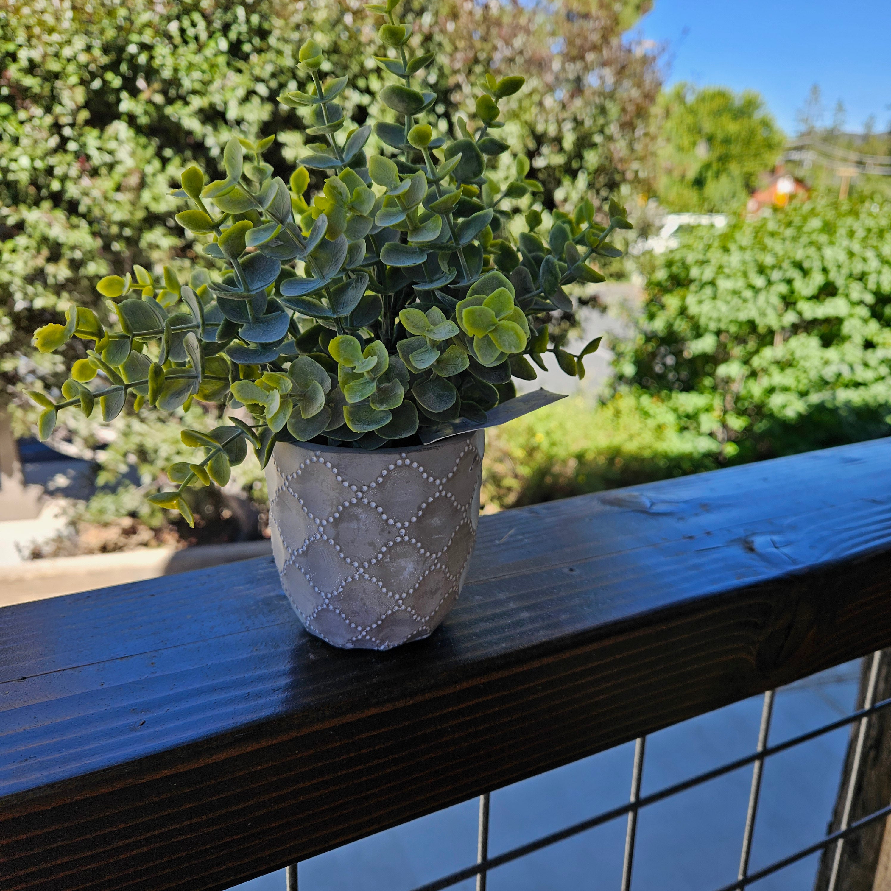 Faux Powdered Euc Plant in a Quatrefoil Design Cement Pot