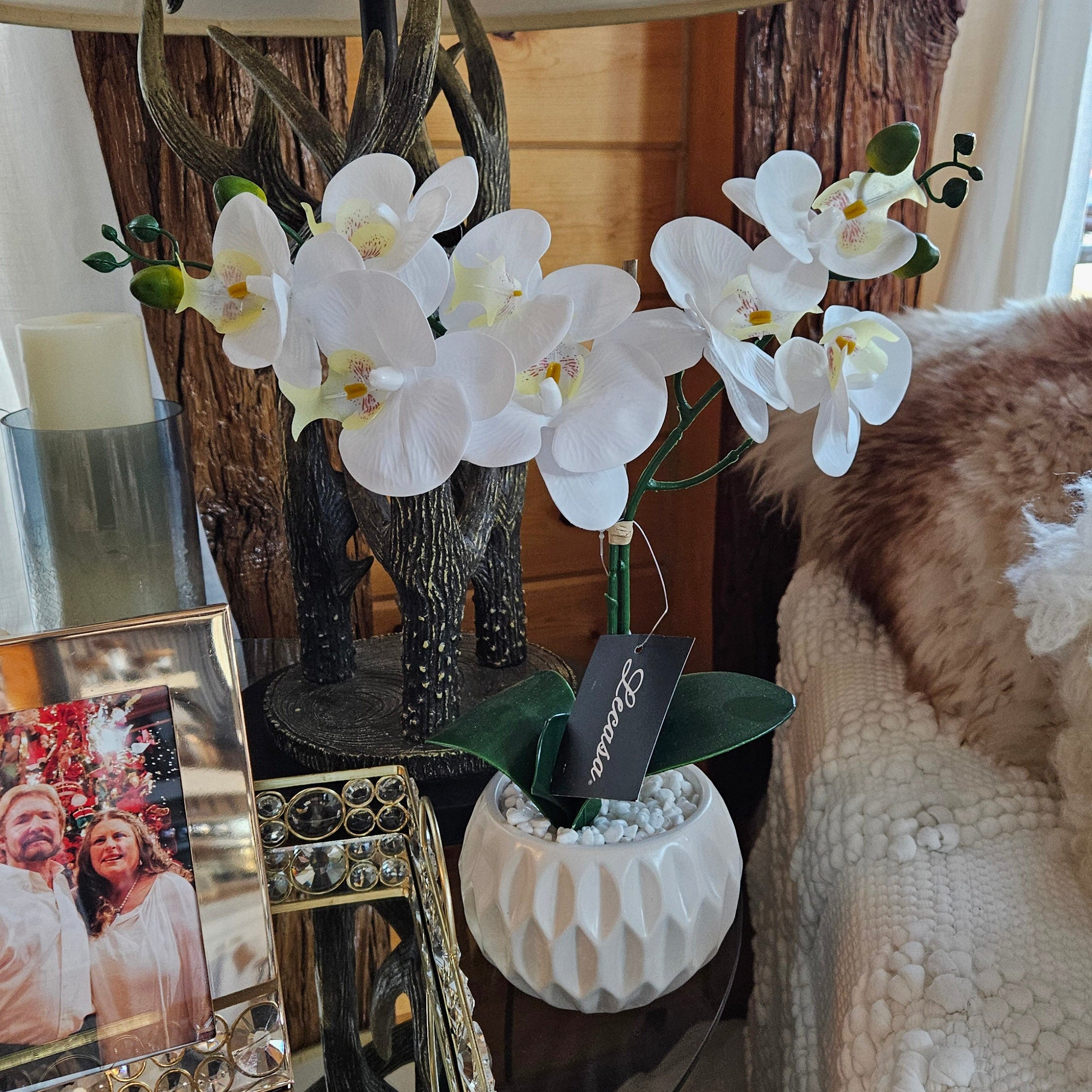 Artificial White Phalaenopsis Orchid in a White Ceramic Pot