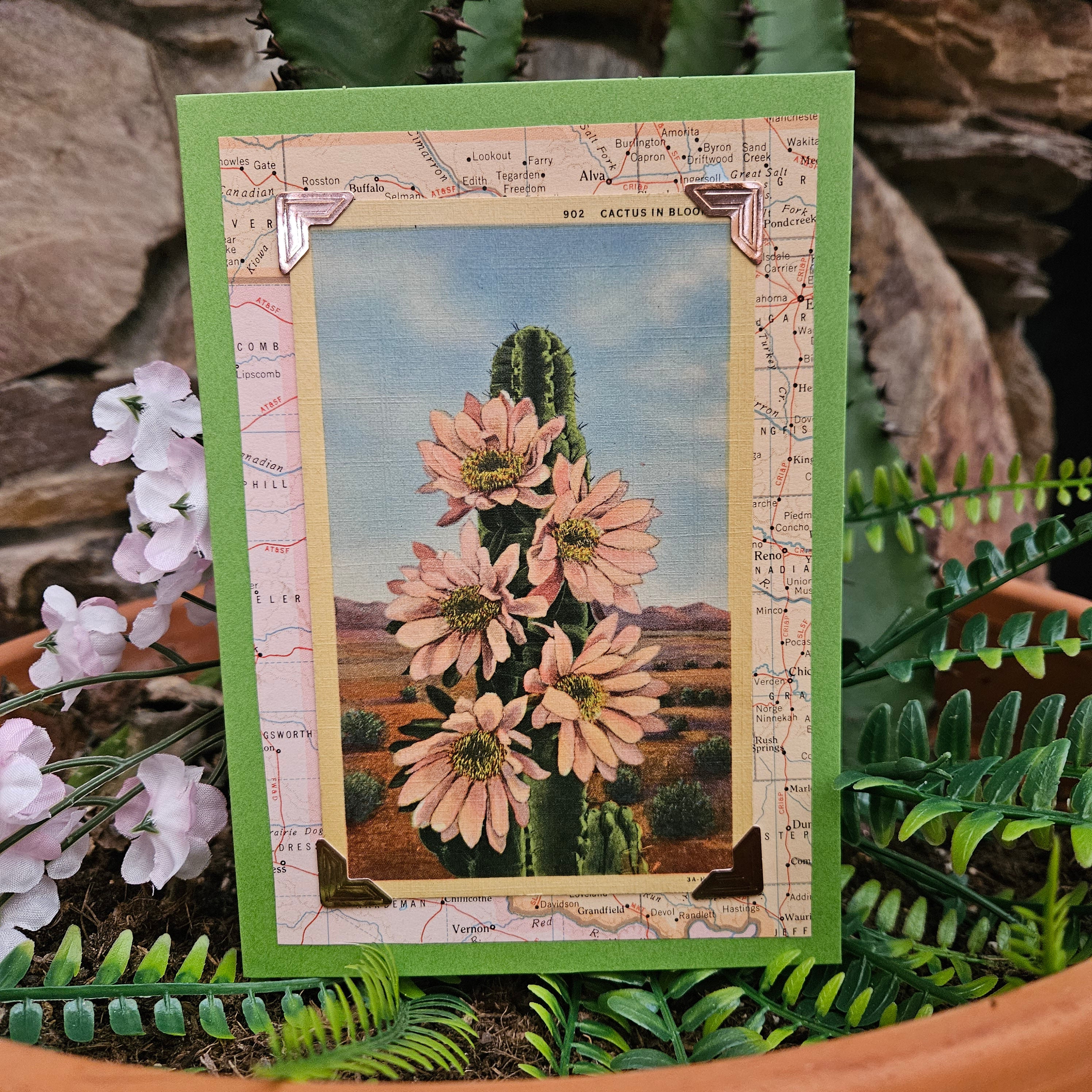 Beautifully Hand Crafted Custom Created Greeting Card Series by Diane Stegman "Cactus in Bloom"