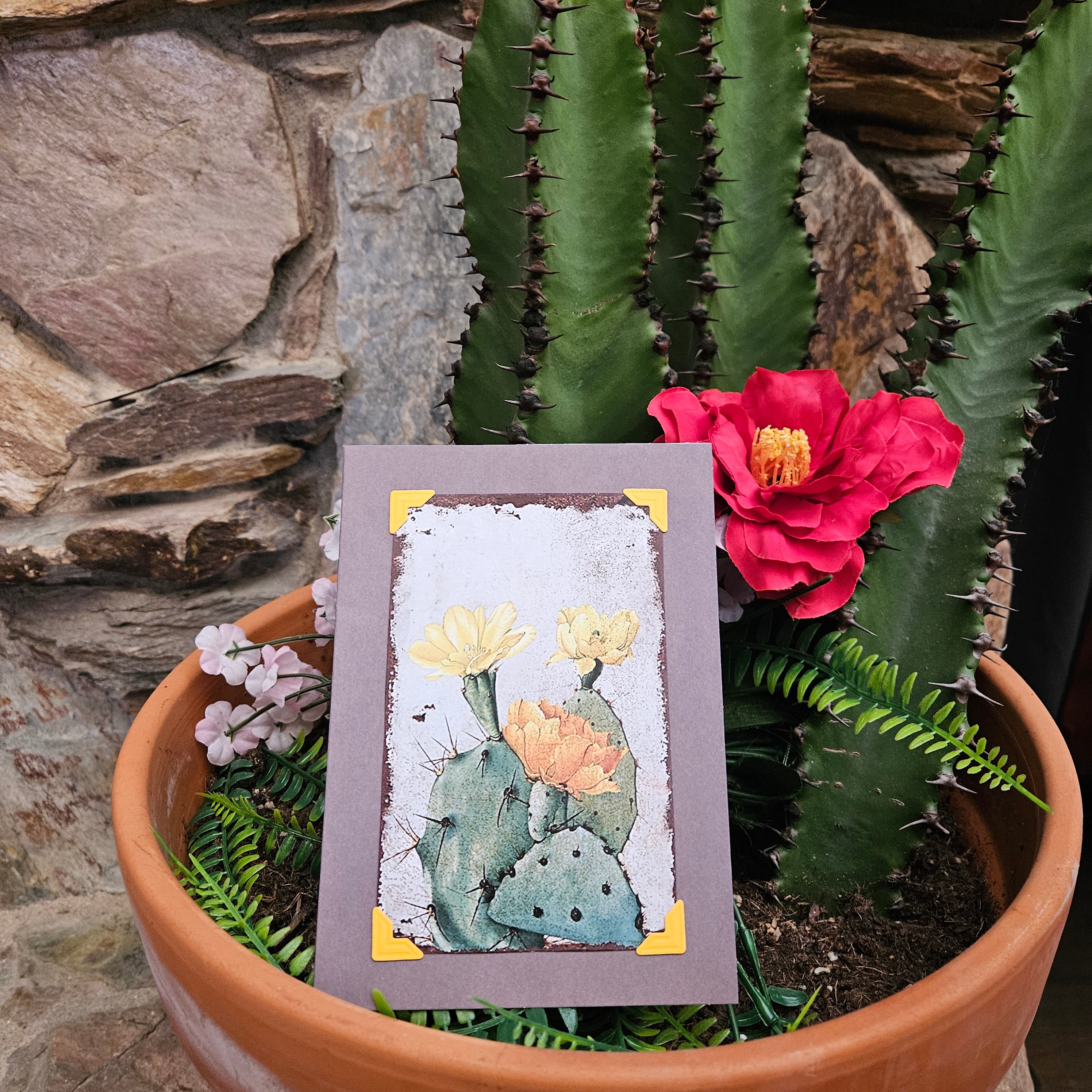 Beautifully Hand Crafted Custom Created Greeting Card Series by Diane Stegman "Prickly Pear Cactus"