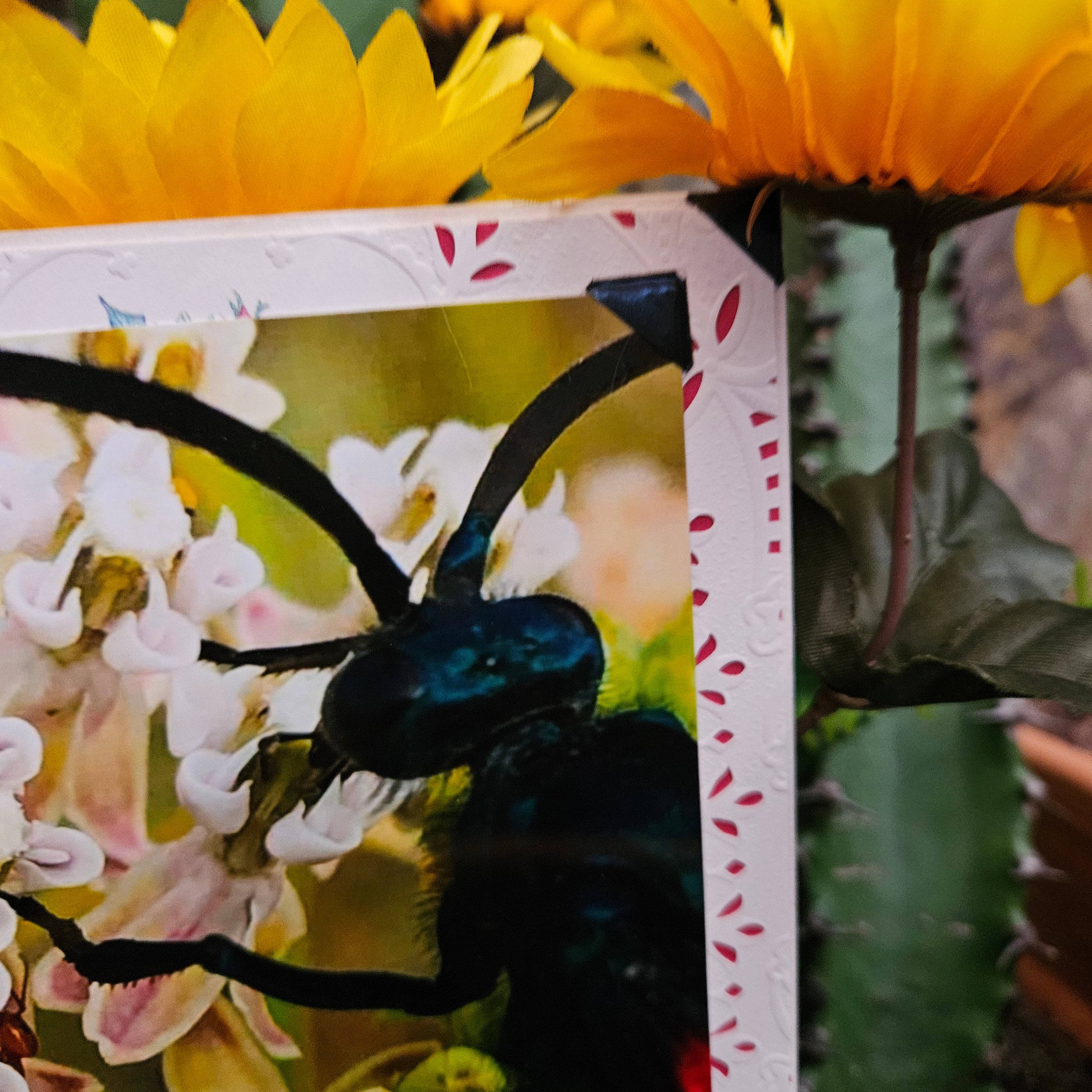 Beautifully Hand Crafted Custom Created Greeting Card Series by Diane Stegman "Tarantula Hawk"