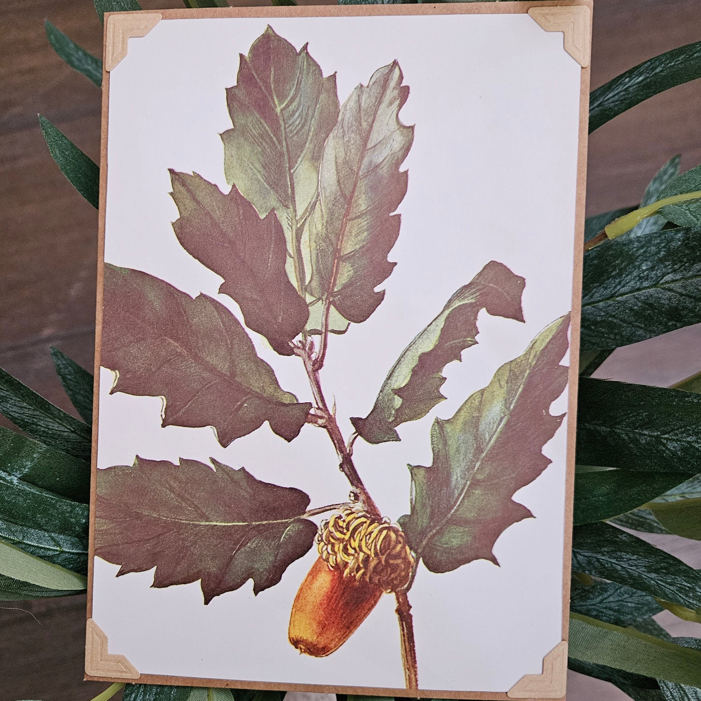 Greeting Card with Envelope "Chinkapin Oak" by Diane Stegman