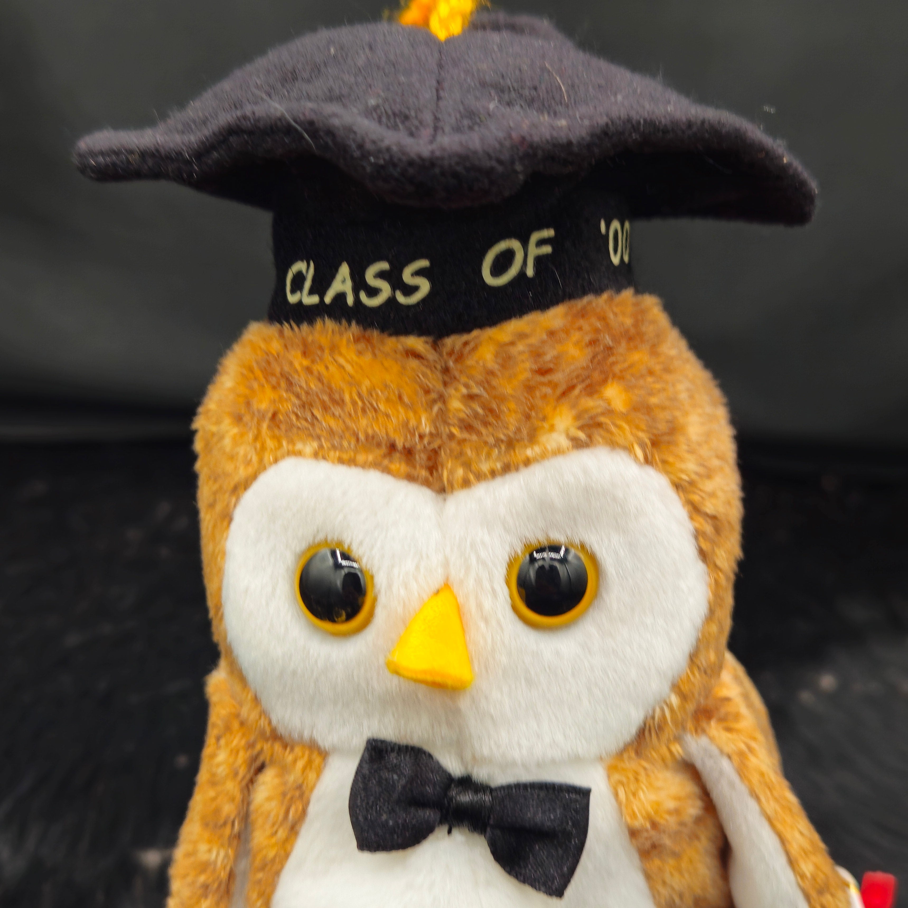 Ty Beanie Babies "Wisest the Owel"